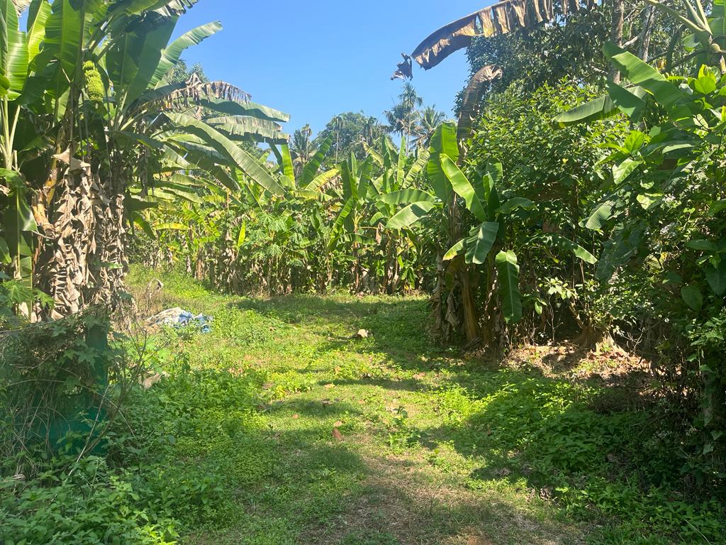 Plot for sale in Amballur — photo 2