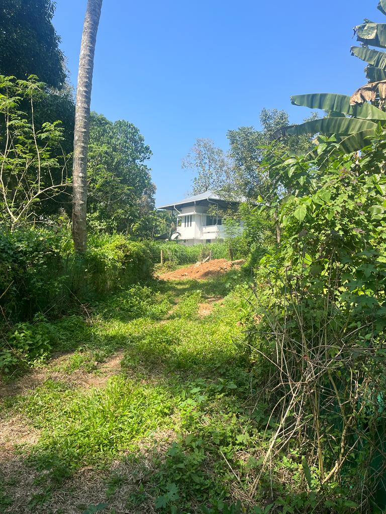 Plot for sale in Amballur — photo 3