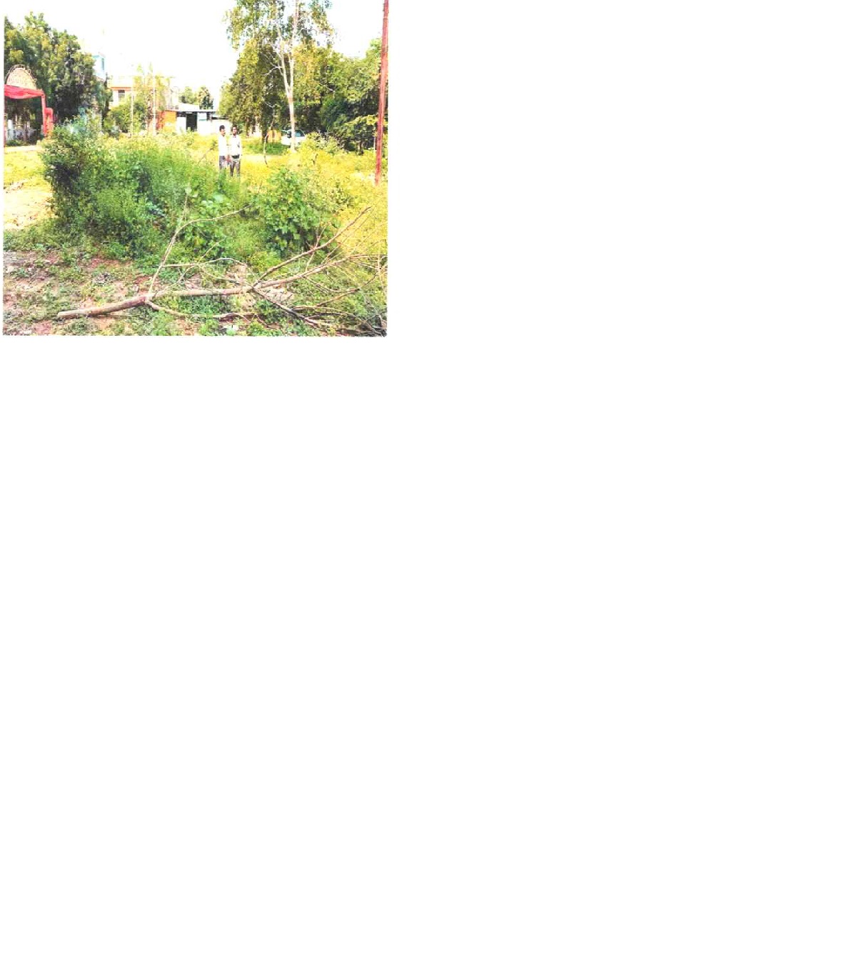 Plot for sale in Amanganj Chhatarpur — photo 2
