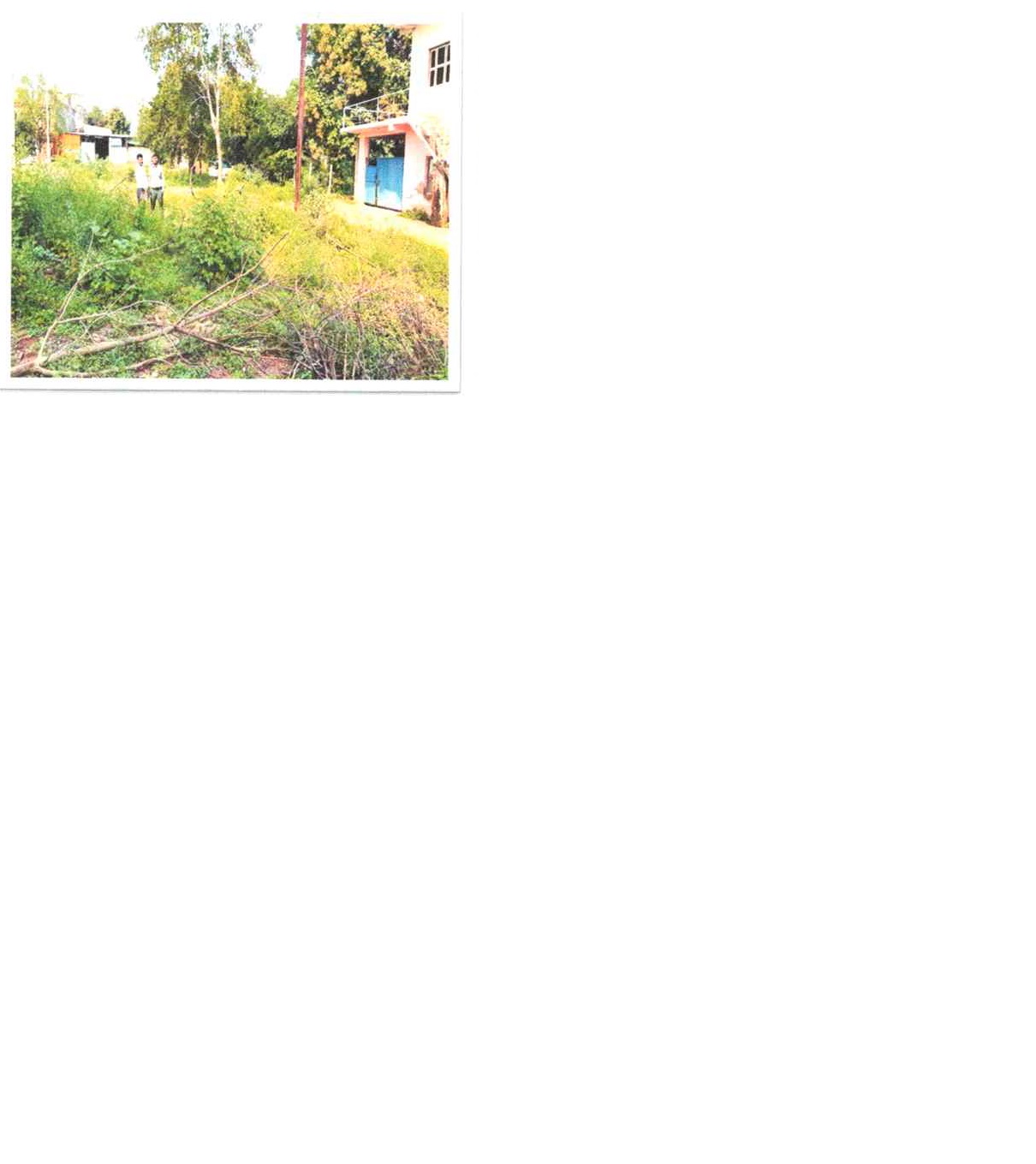 Plot for sale in Amanganj Chhatarpur — photo 3