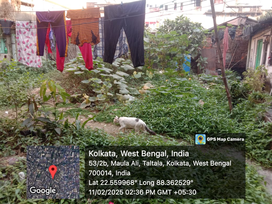 Individual House for sale in Kolkata — photo 2