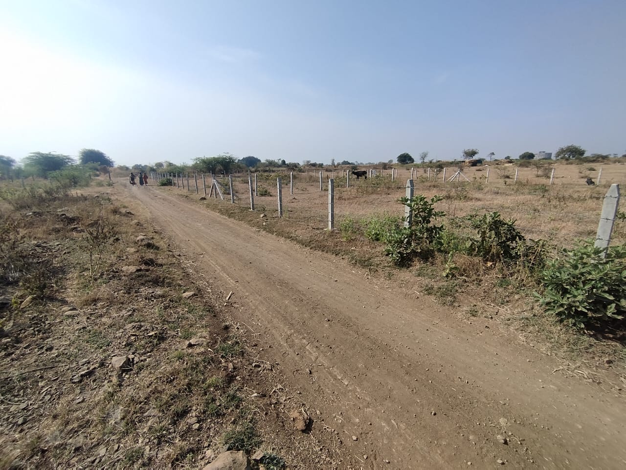 371.84 square meter Plot for sale in Solapur — photo 2