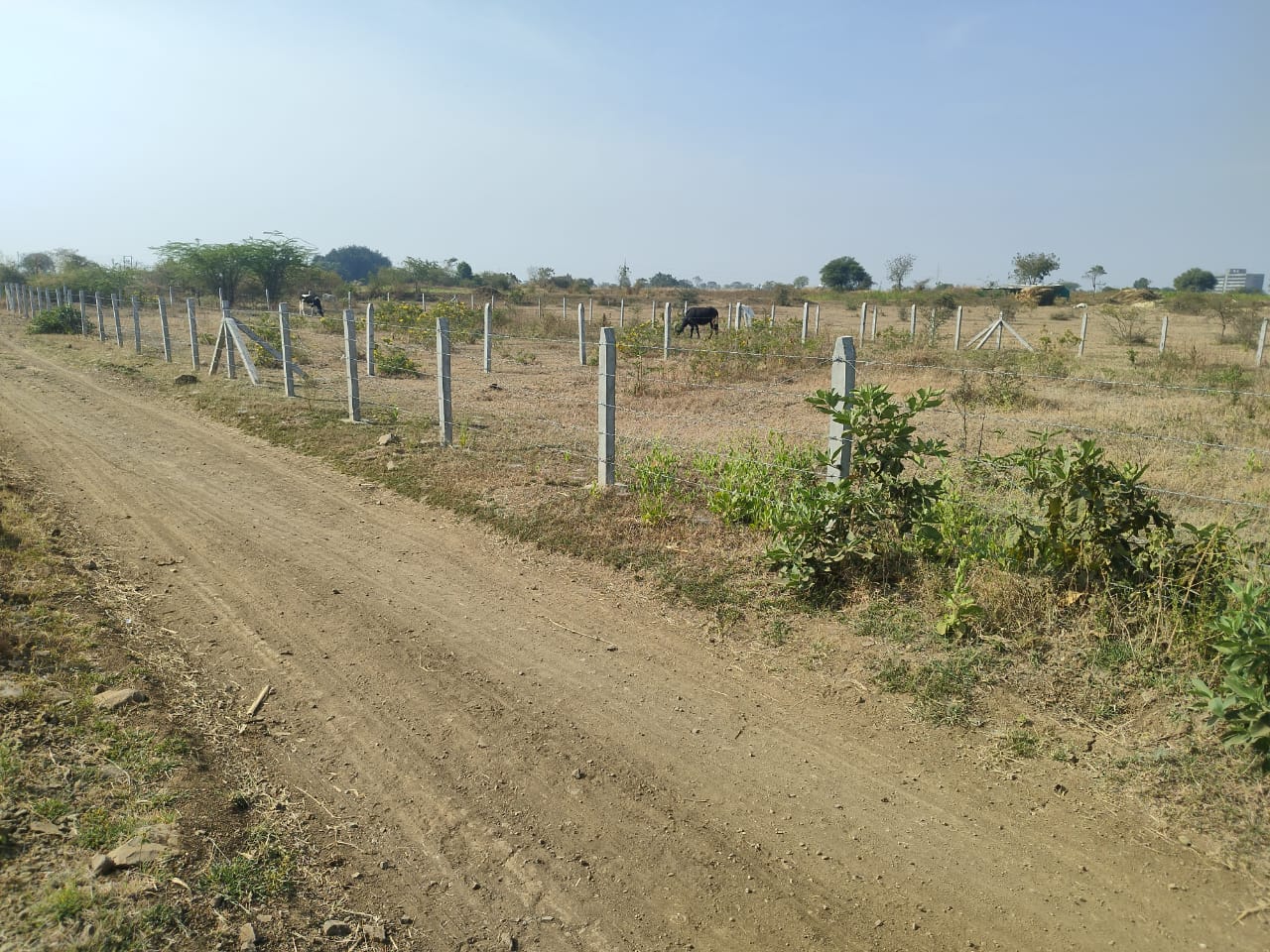 371.84 square meter Plot for sale in Solapur — photo 1