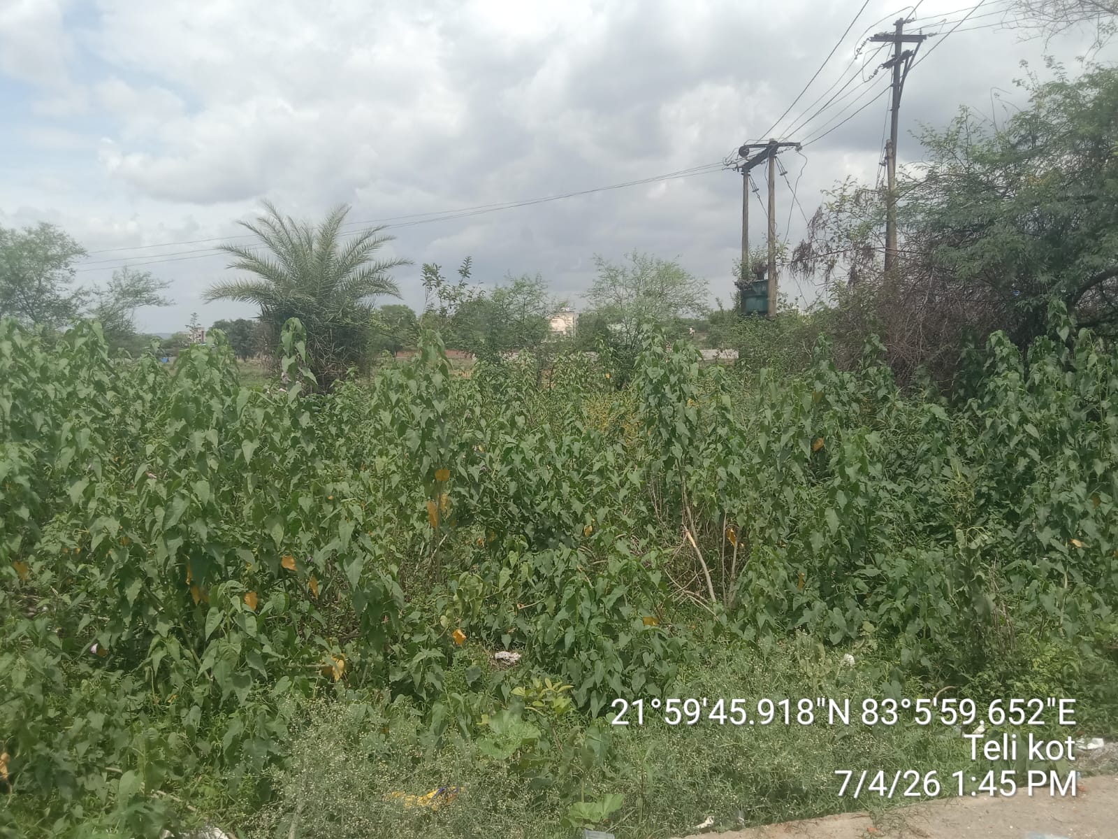 Plot for sale in TELOKOTE Kharsia — photo 1