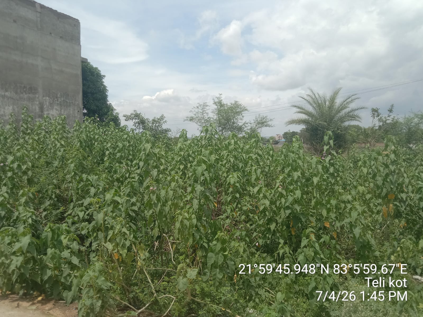 Plot for sale in TELOKOTE Kharsia — photo 2
