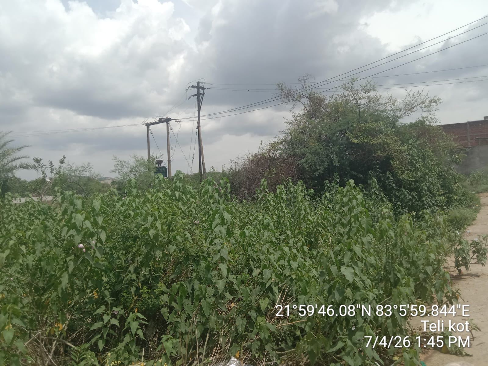 Plot for sale in TELOKOTE Kharsia — photo 3