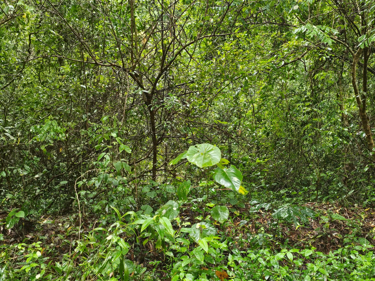 Plot for sale in Navoor — photo 1