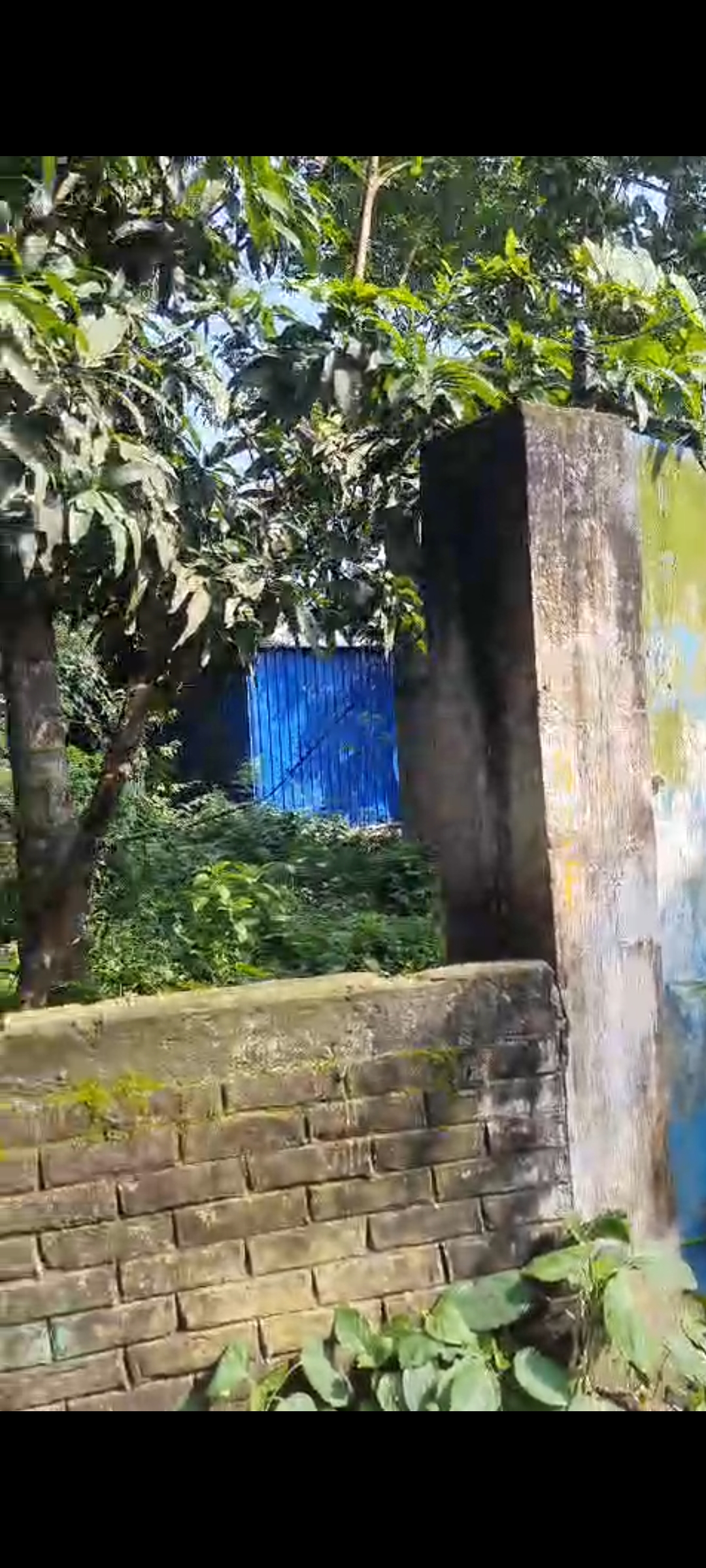 Some portion is residential and rest portion is commercial for sale in Maslandapur, 2 No GP, P.S- Habra Habra — photo 2