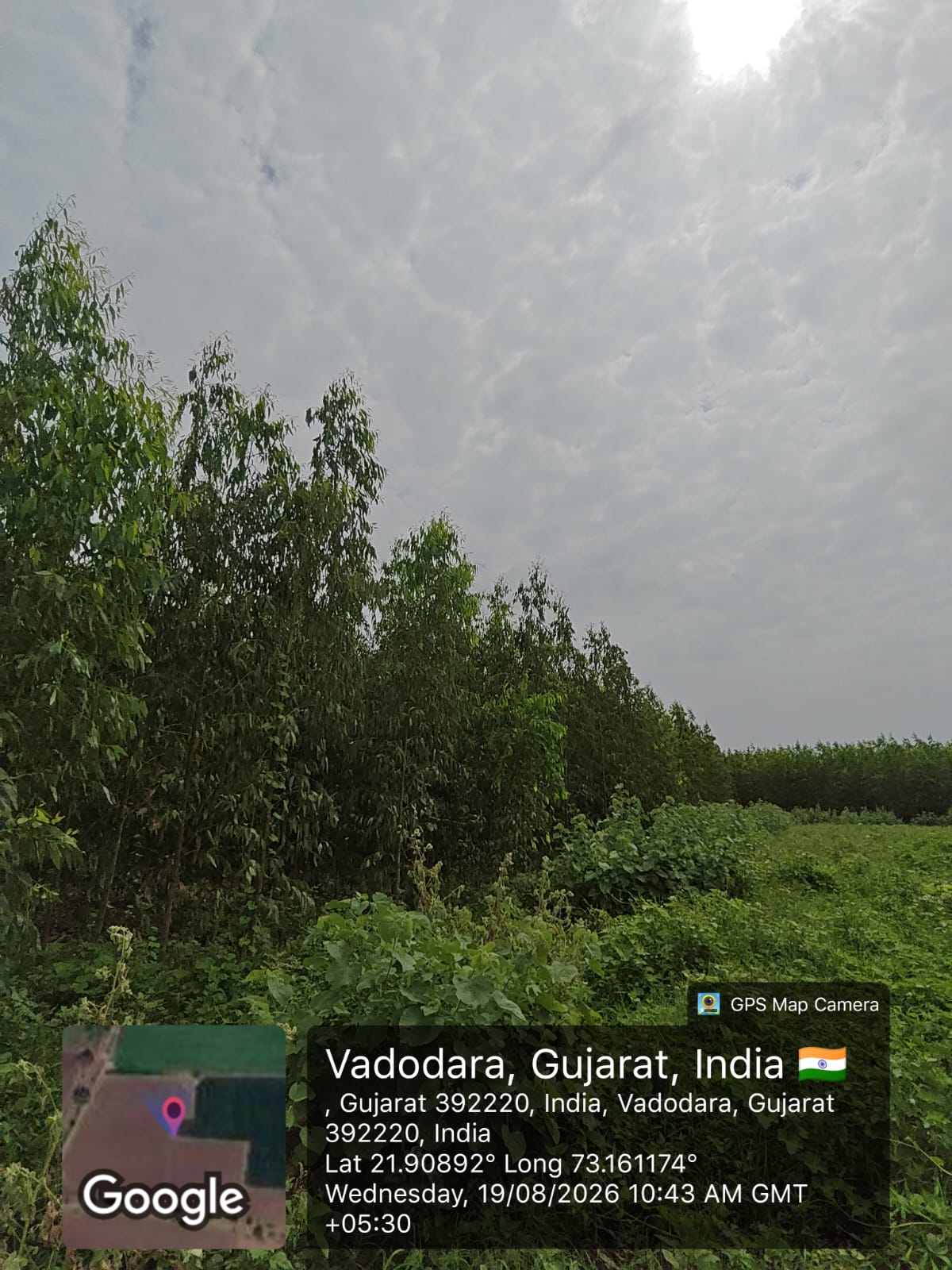 Agriculture Land for sale in karjan Karjan — photo 2
