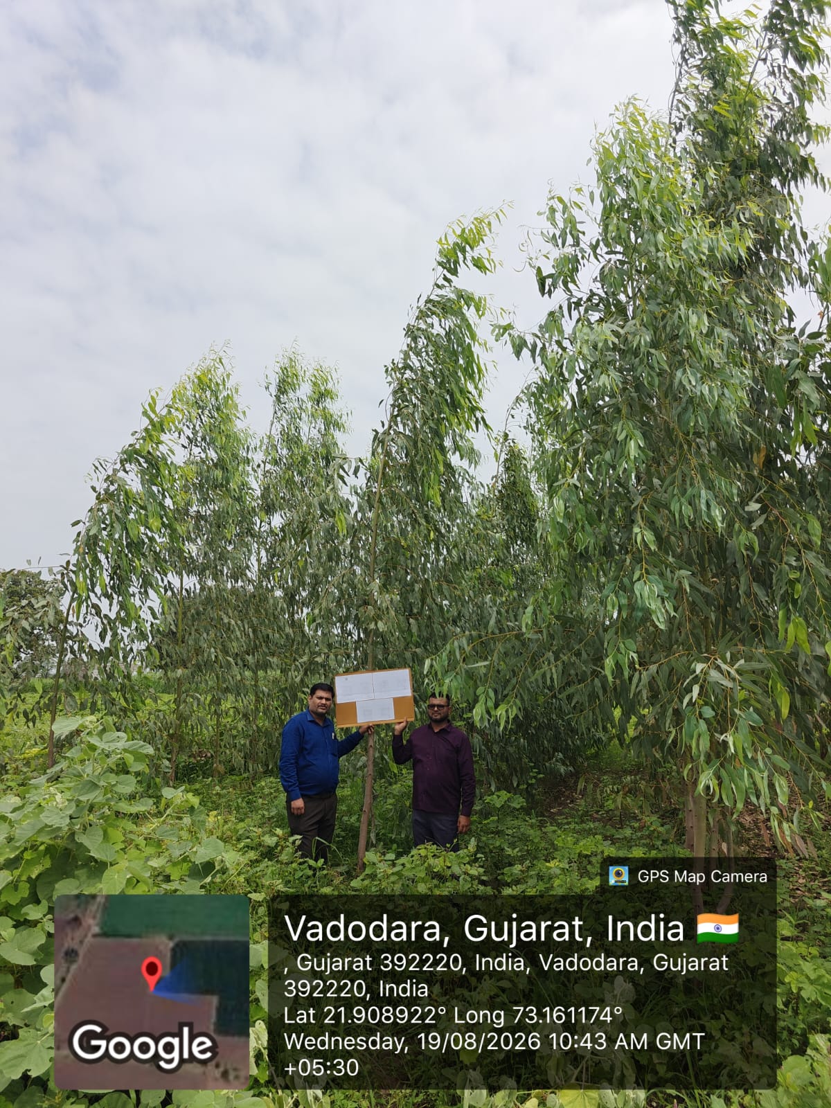 Agriculture Land for sale in karjan Karjan — photo 3