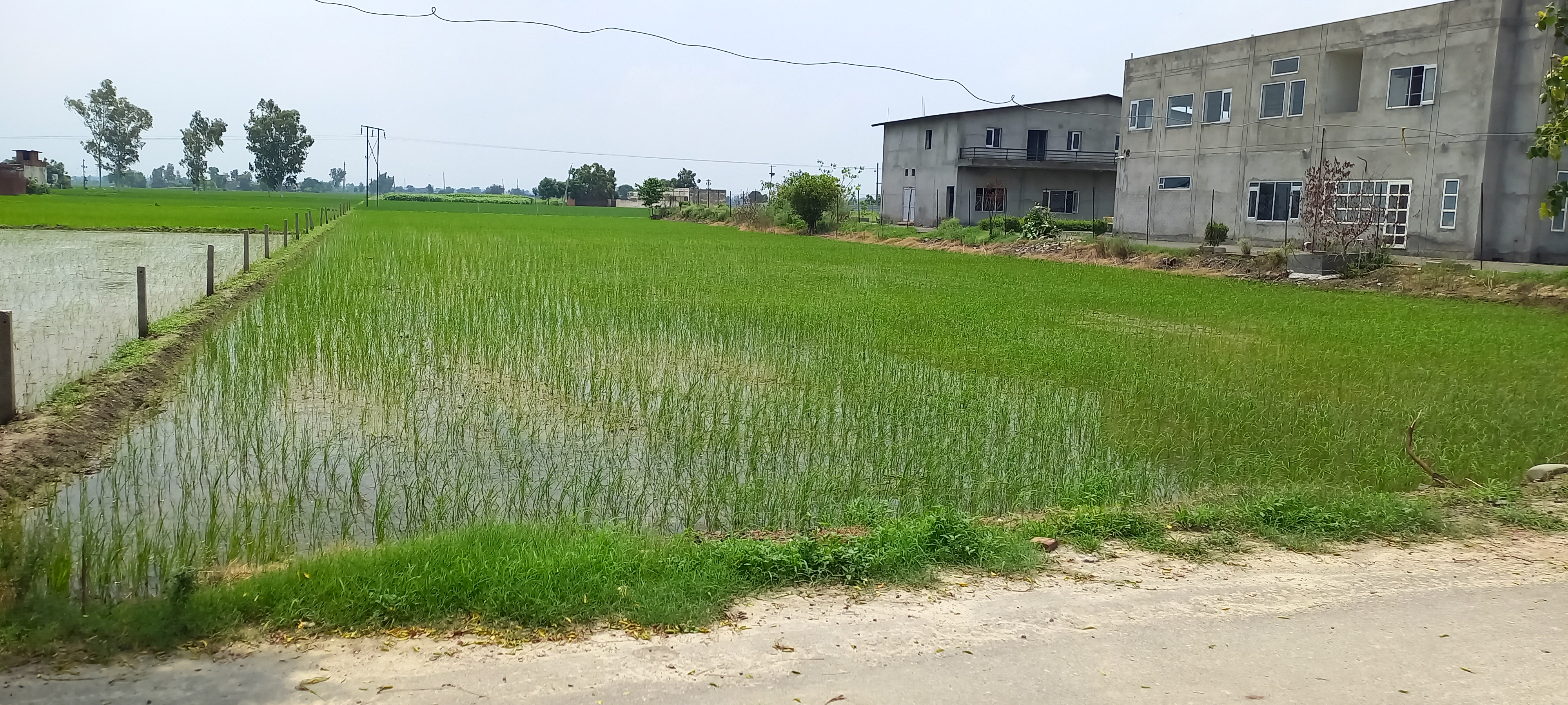 Plot for sale in Amritsar — photo 1