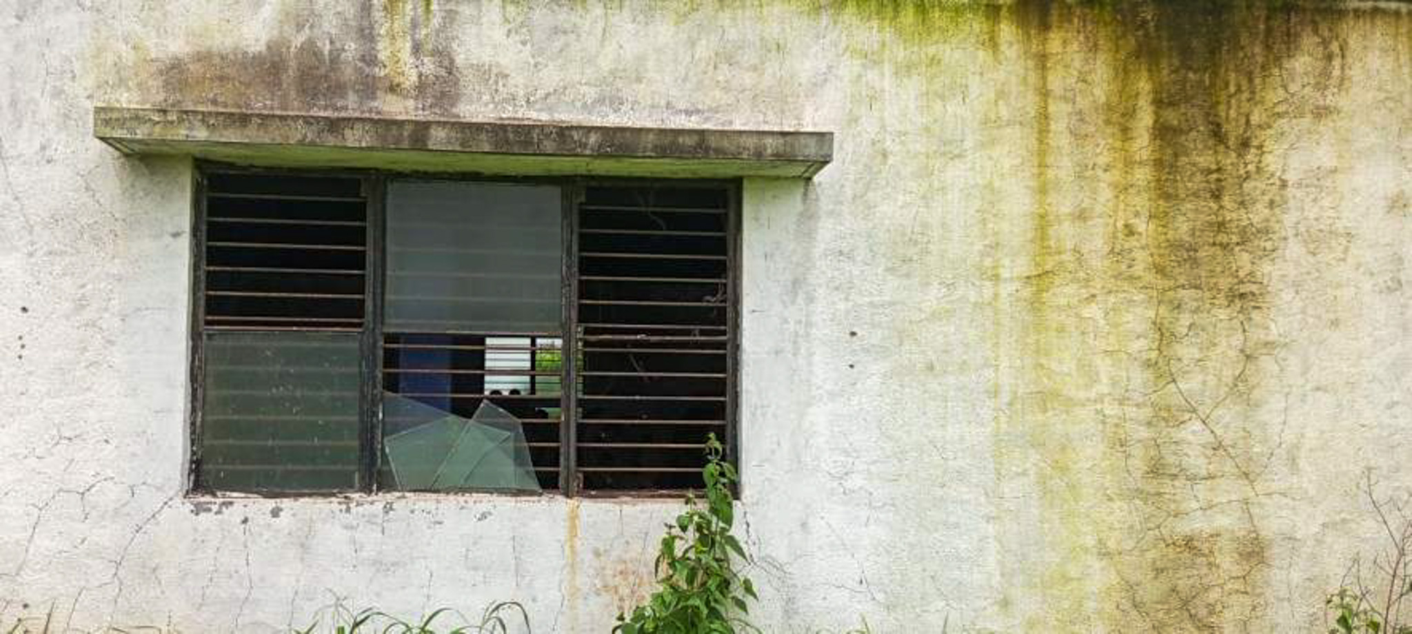 Industrial Shed for sale in Dindori — photo 7