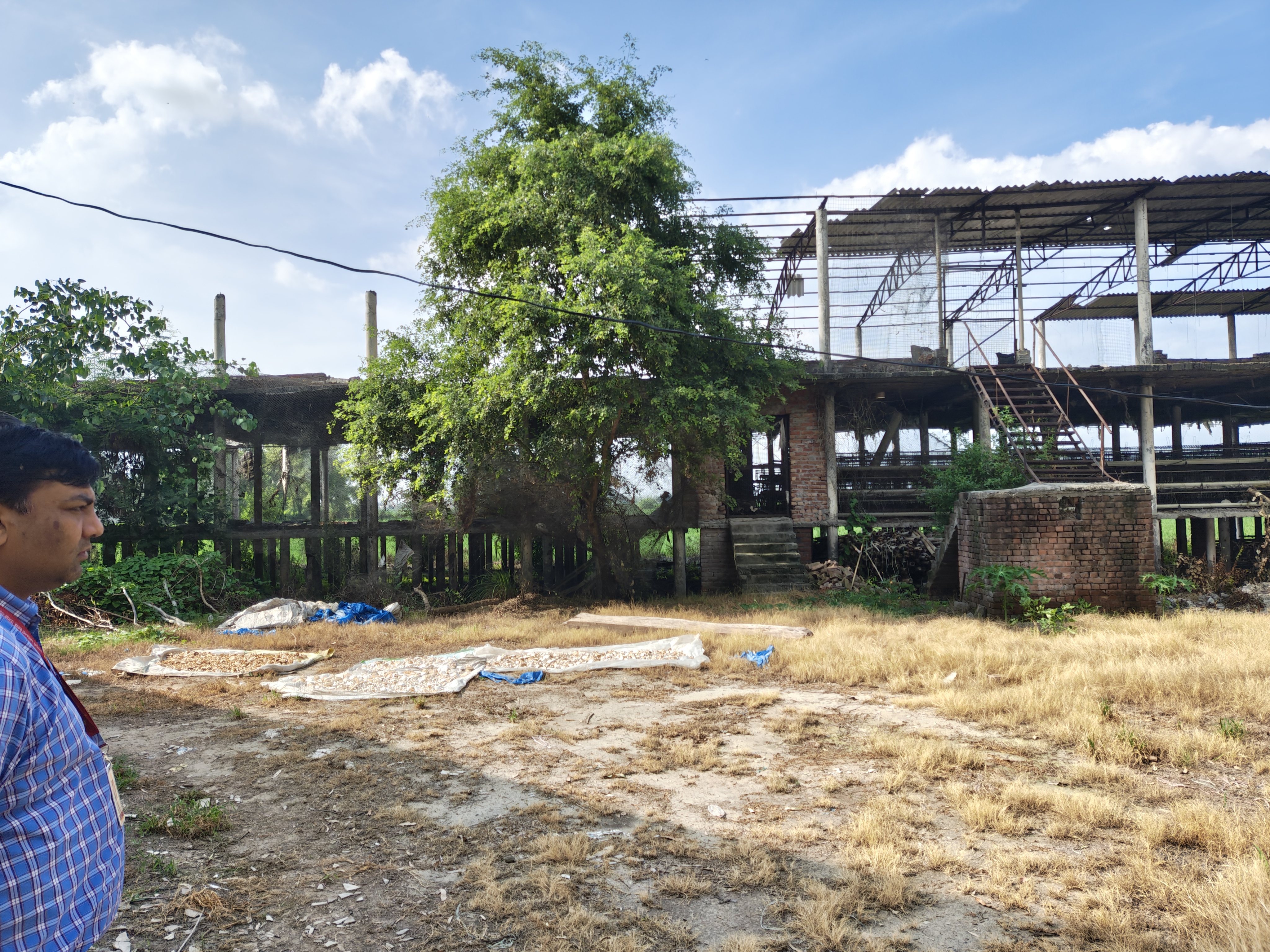 Poultry Farm for sale in Ismailabad — photo 2