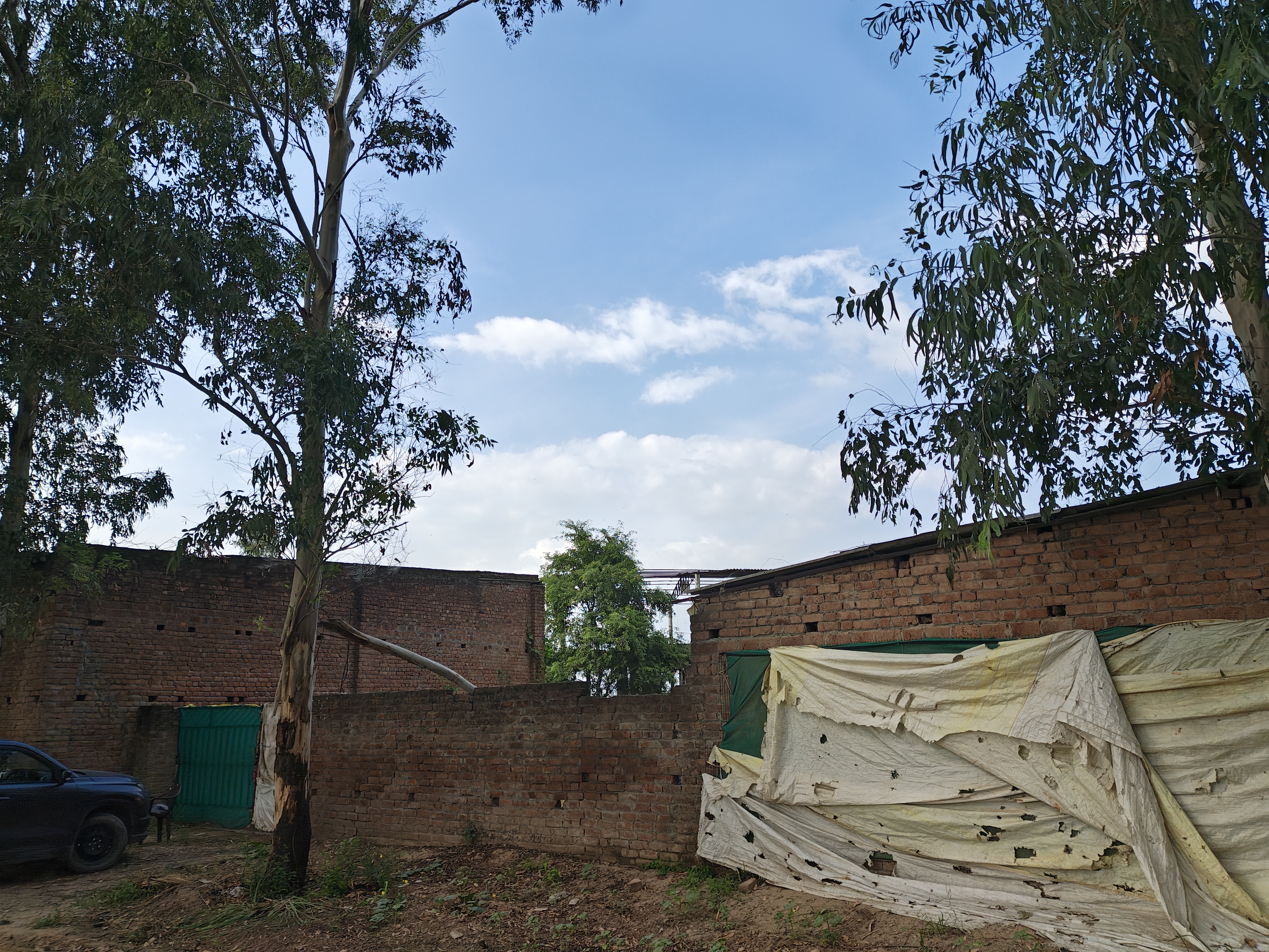 Poultry Farm for sale in Ismailabad — photo 4