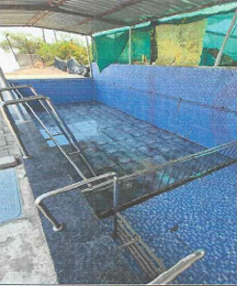 370.47 square meter Farm House for sale in Surat — photo 2