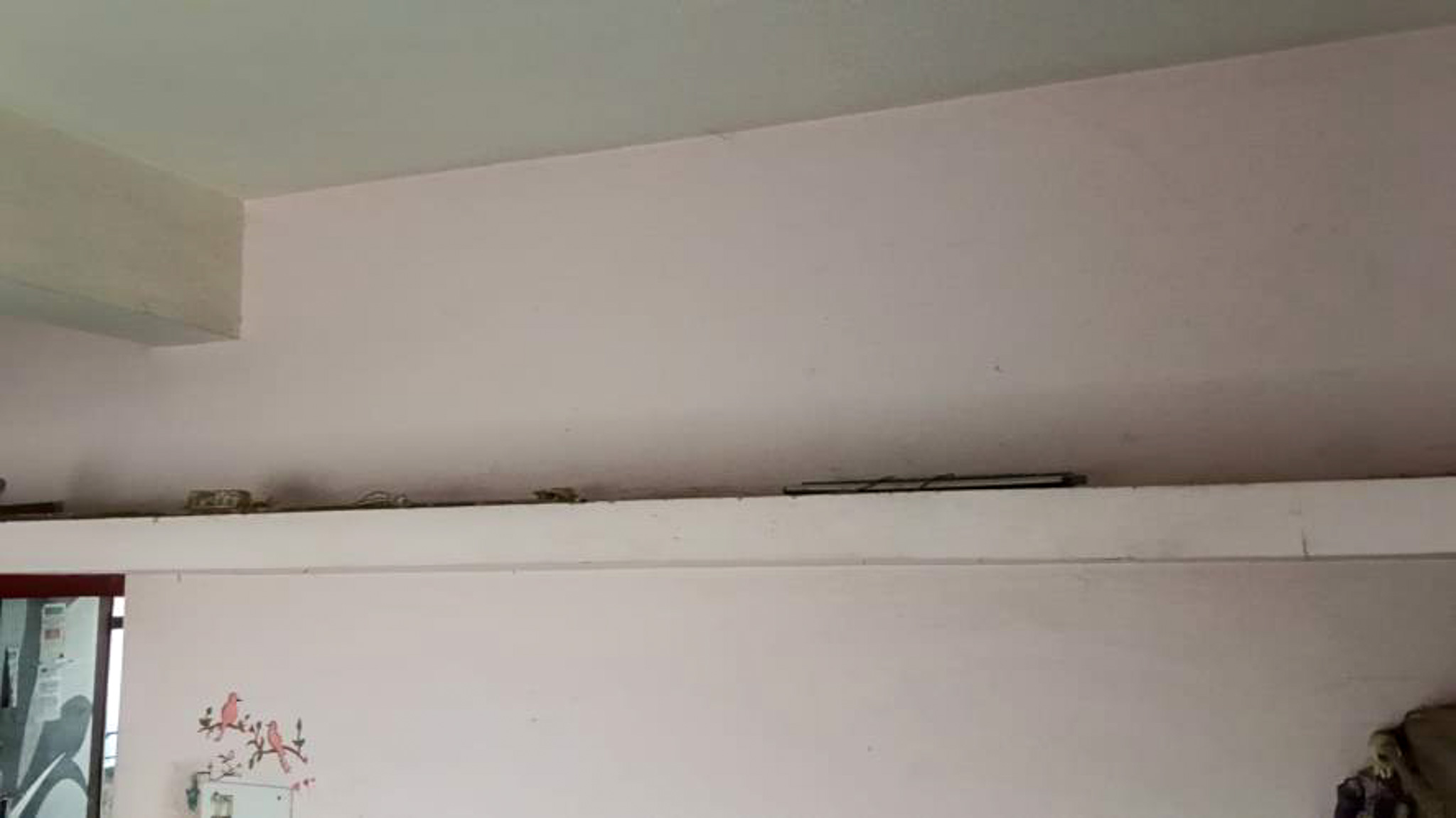Flat for sale in Vadodara — photo 6