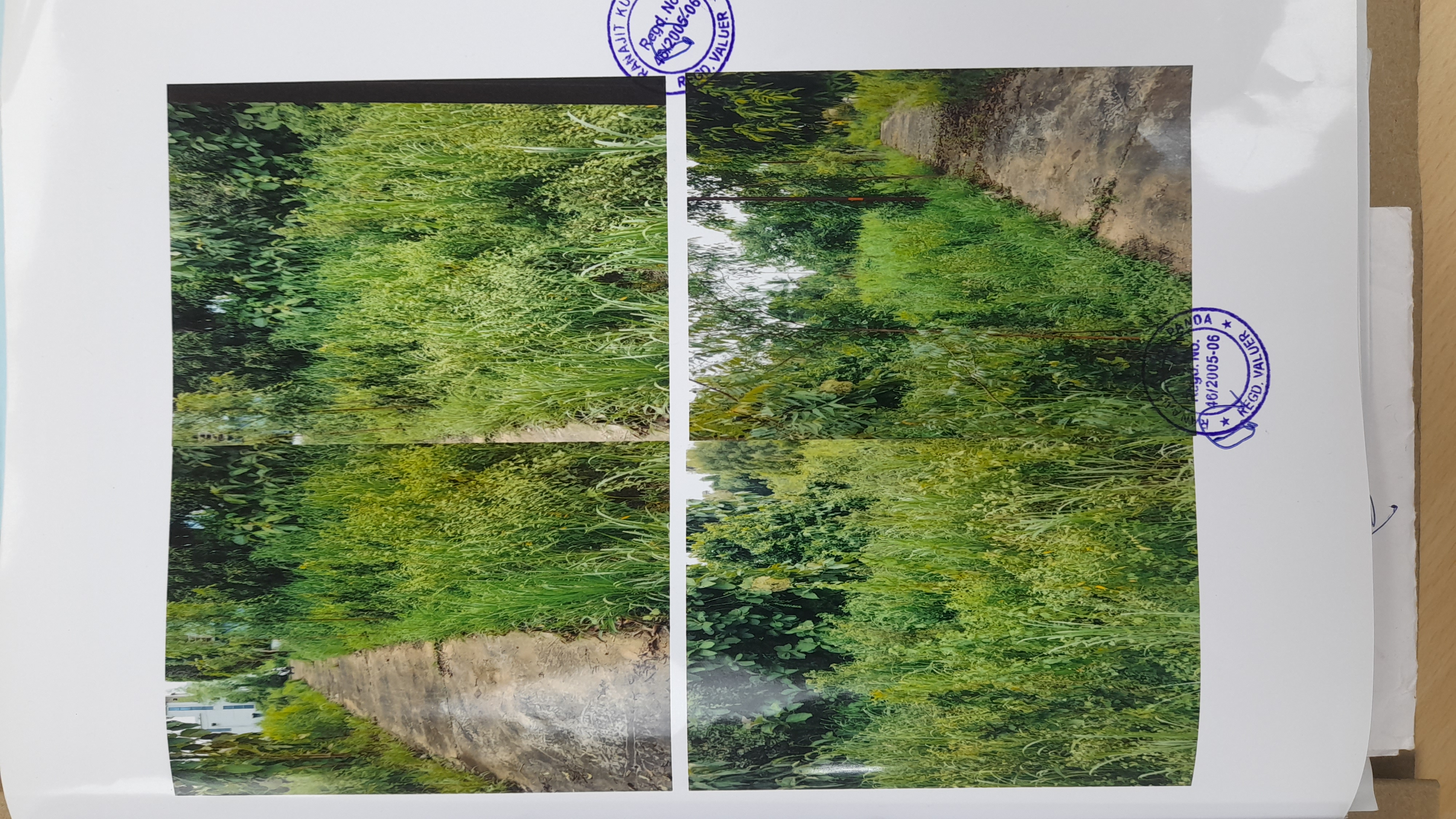1792 square feet Plot for sale in KANTAPADA Talcher — photo 2