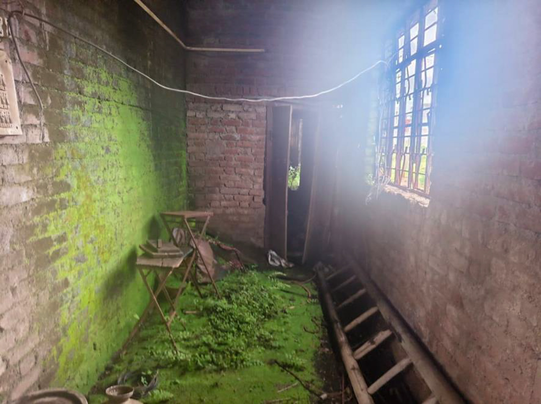 Office for sale in Palus — photo 9