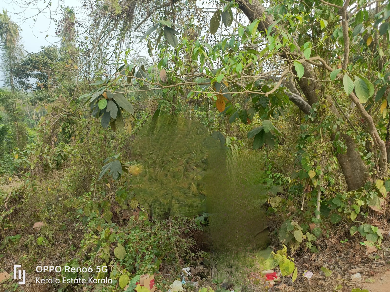 Plot for sale in KALIKAVU — photo 1