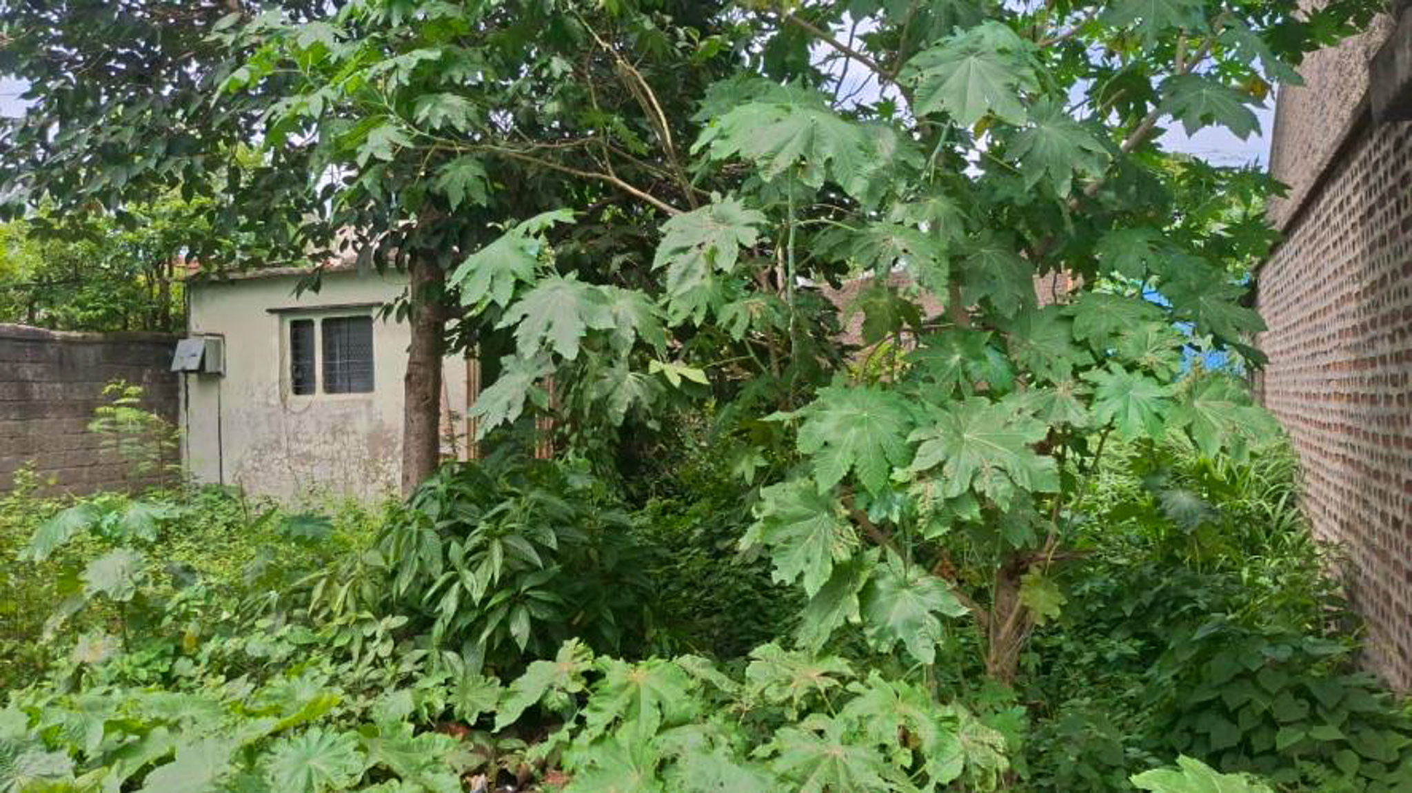 Individual House for sale in Ichalkaranji — photo 2