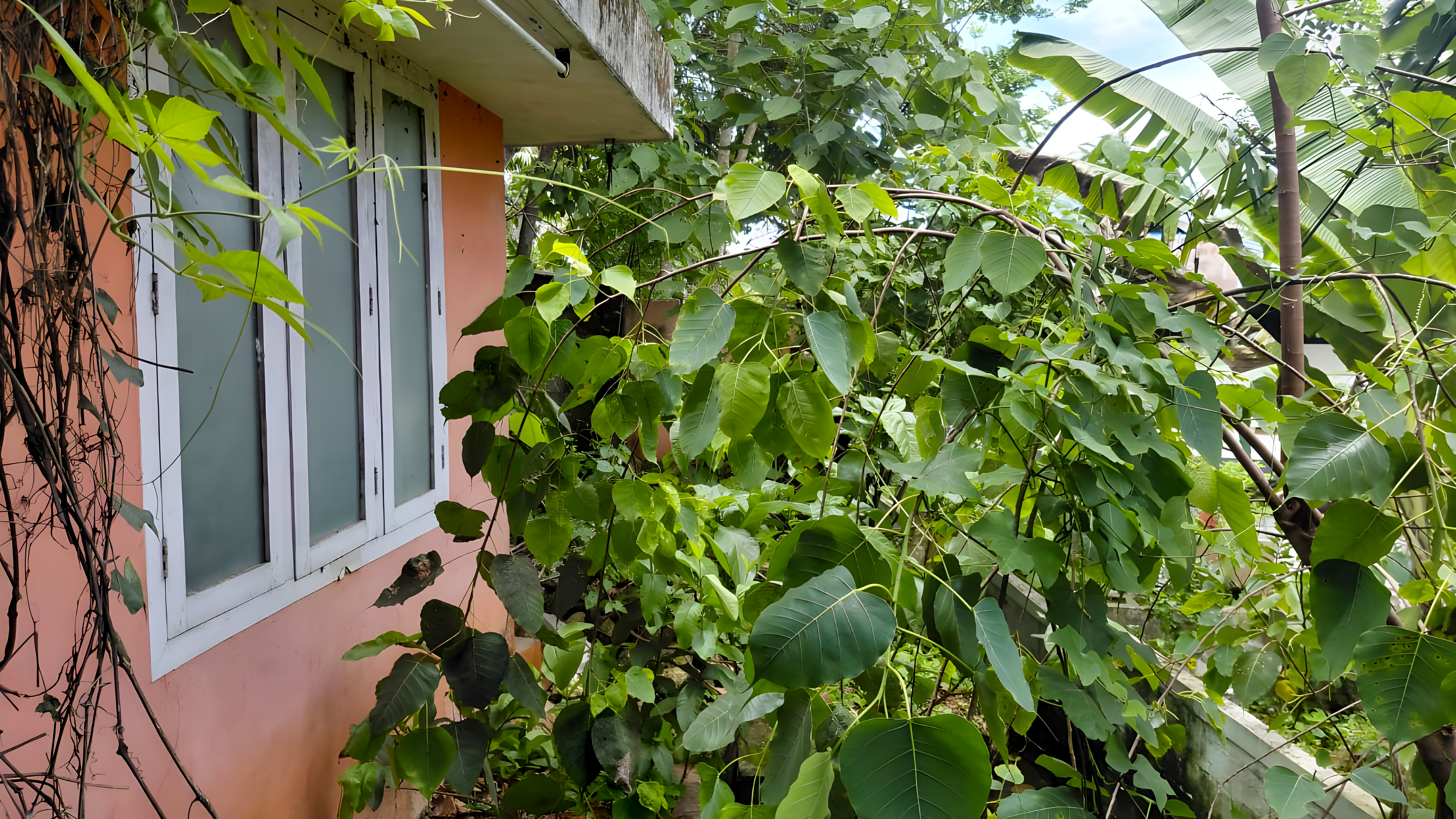 8712 square feet Bungalow for sale in Vattiyoorkavu Thiruvananthapuram — photo 2