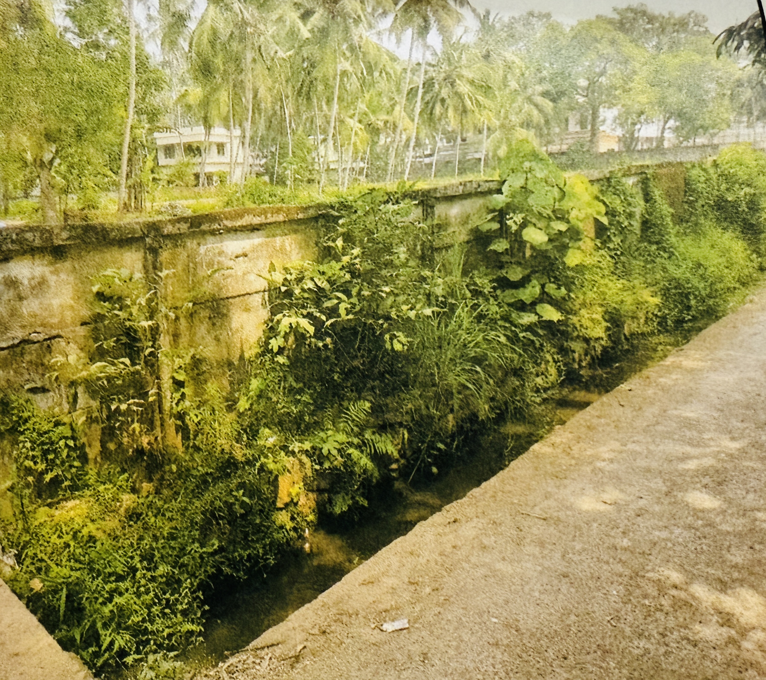 Plot for sale in Vengeri Kozhikode — photo 2