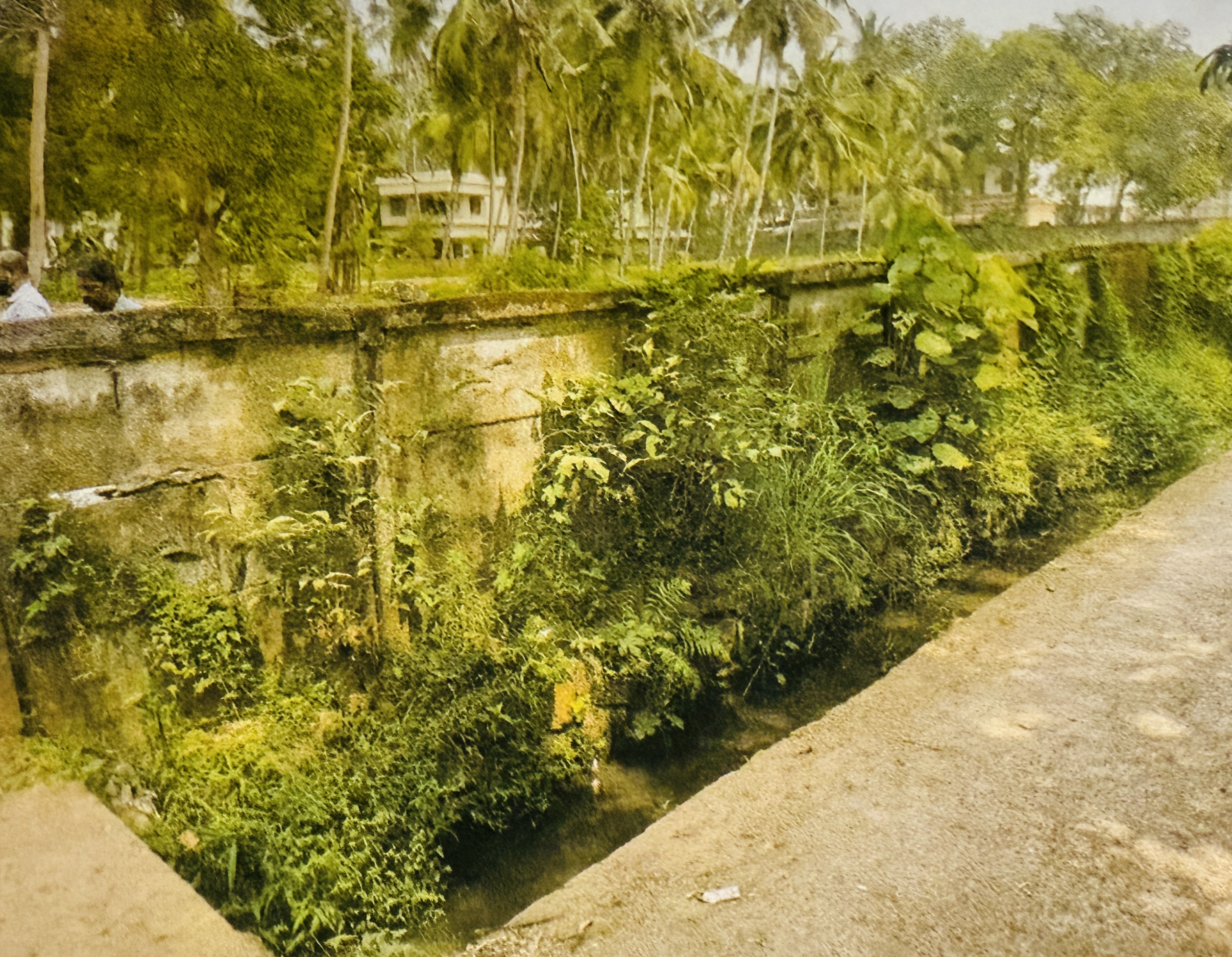 Plot for sale in Vengeri Kozhikode — photo 4