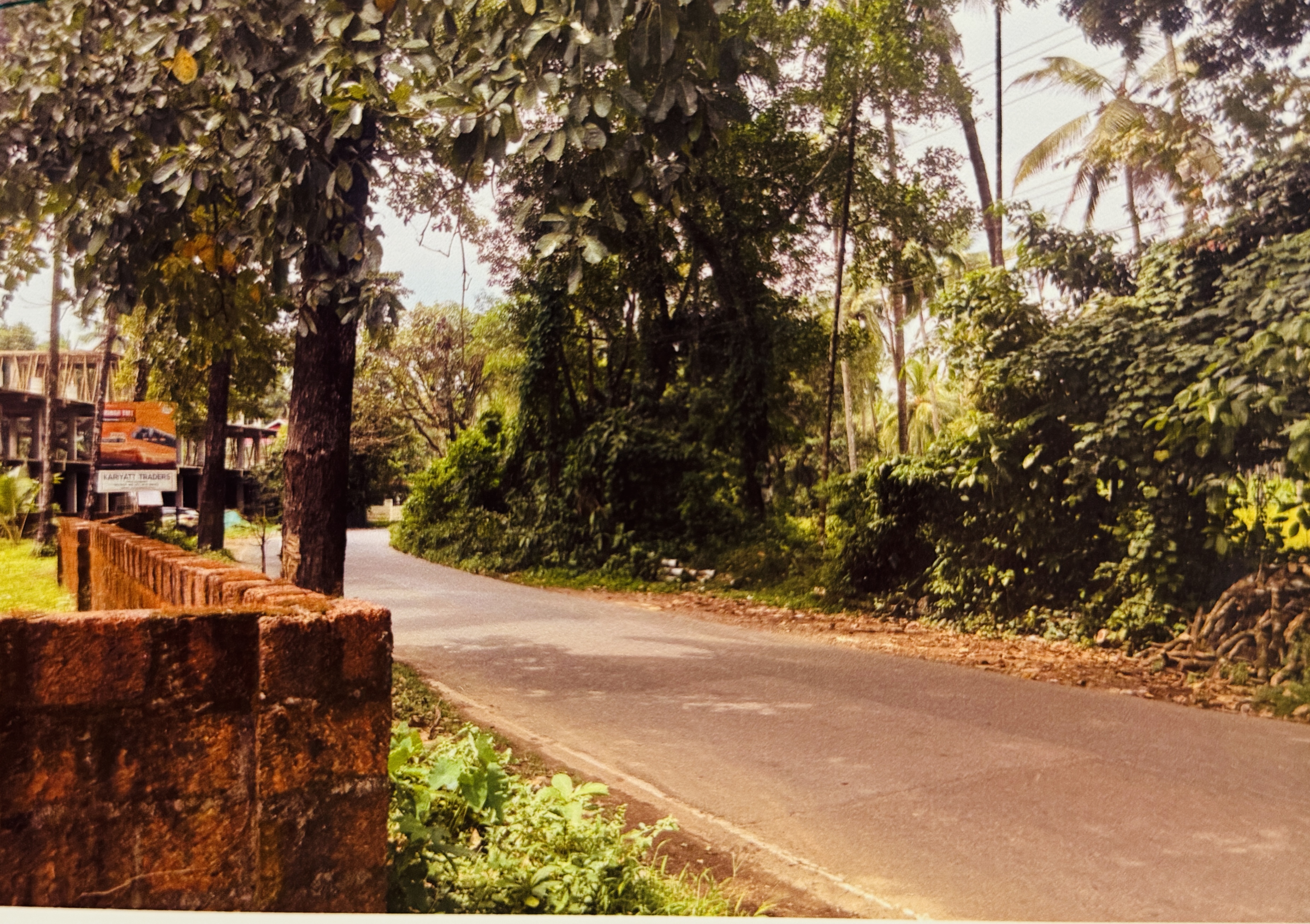 Plot for sale in Kavilumpara Kozhikode — photo 6
