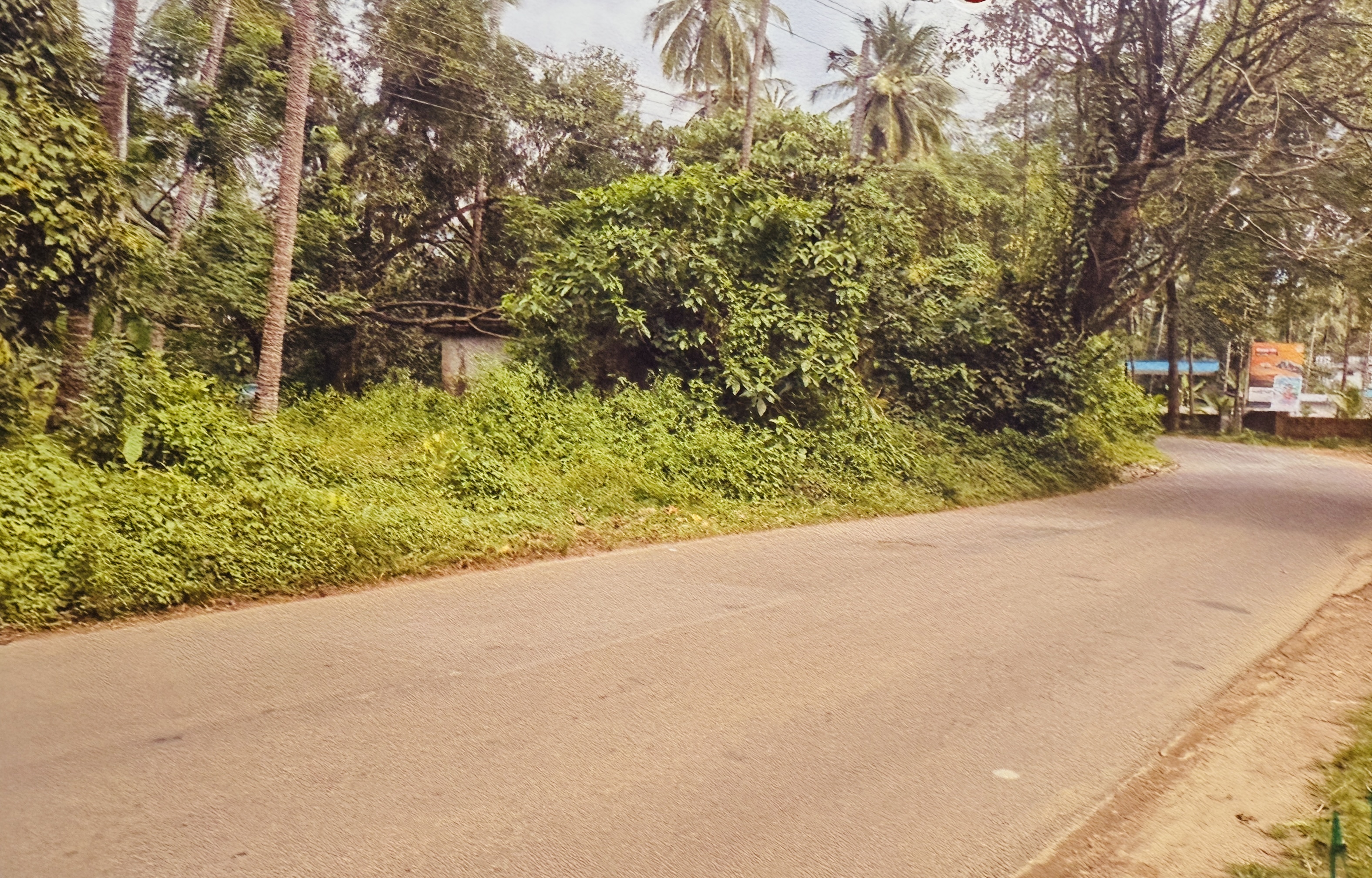 Plot for sale in Kavilumpara Kozhikode — photo 2