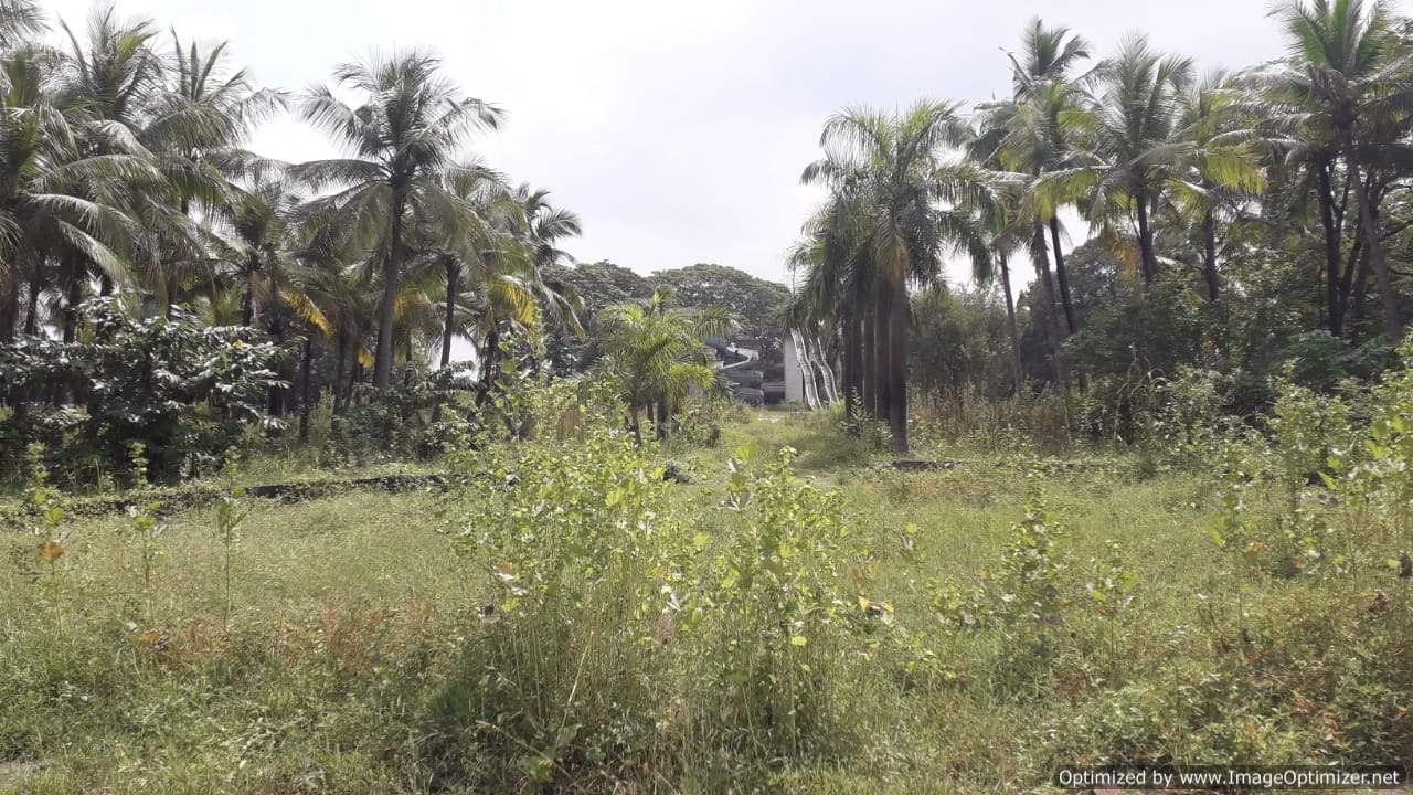 Plot for sale in Surat — photo 3