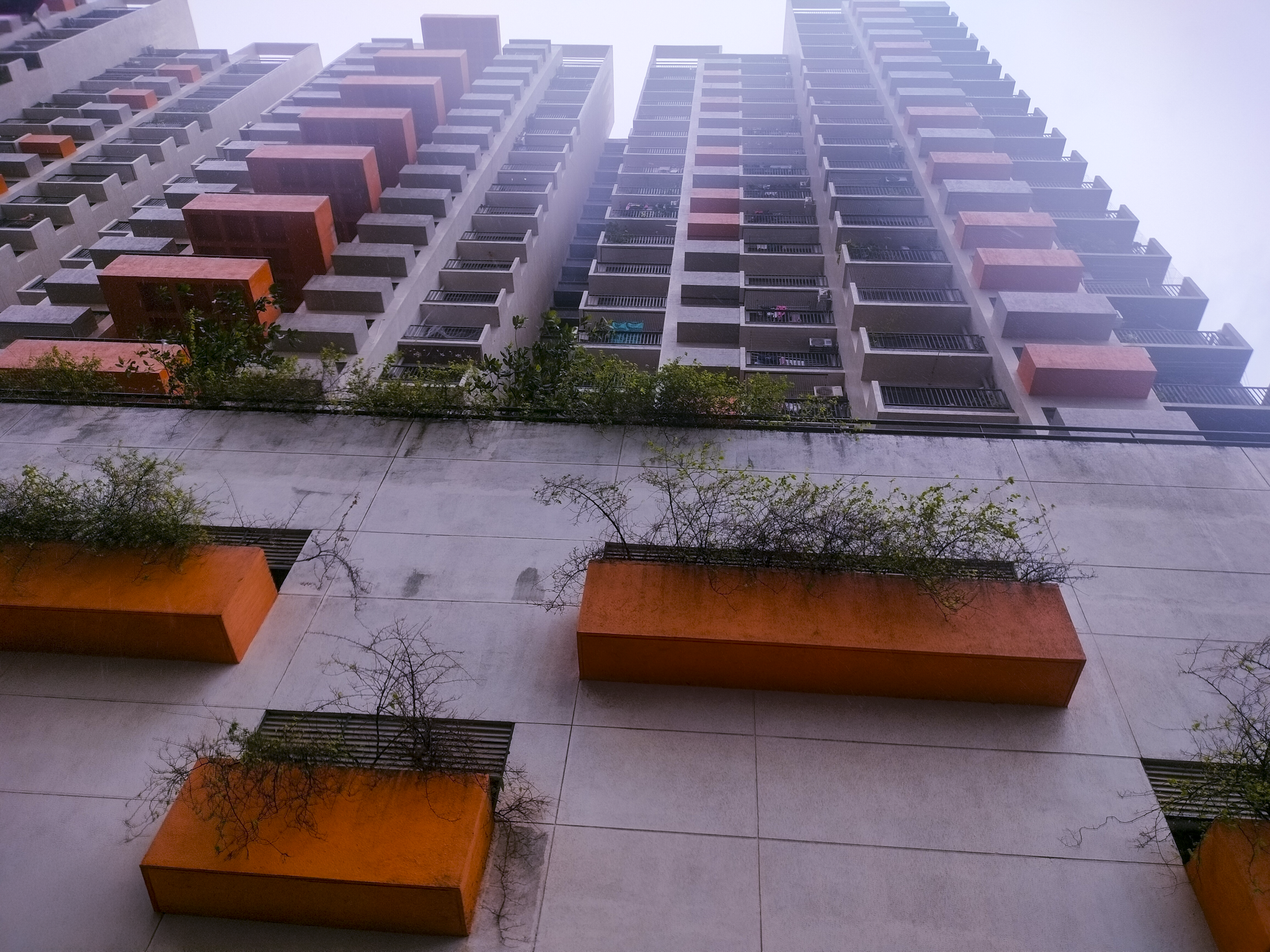 767 square feet Flat for sale in Vasai Virar — photo 23