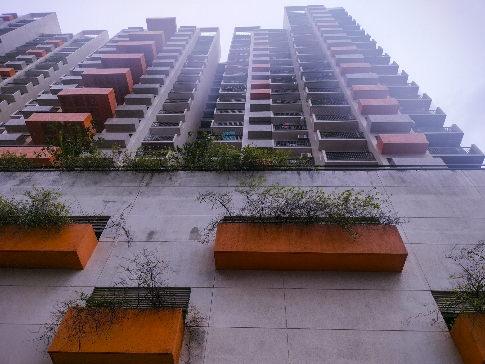 767 square feet Flat for sale in Vasai Virar — photo 1