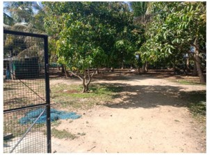 30000.5 square feet Plot for sale in Adiyanuthu — photo 1