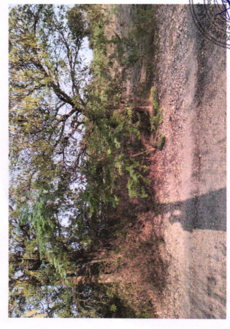 Plot for sale in visakhapatnam Visakhapatnam — photo 1