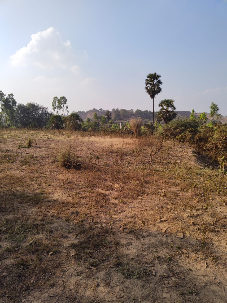 Plot for sale in Peddapuram — photo 1