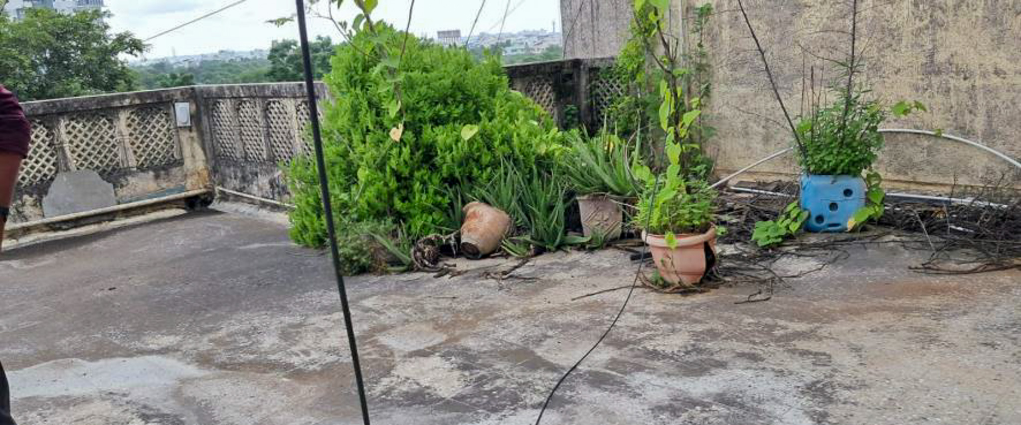 Flat for sale in Nagpur — photo 4