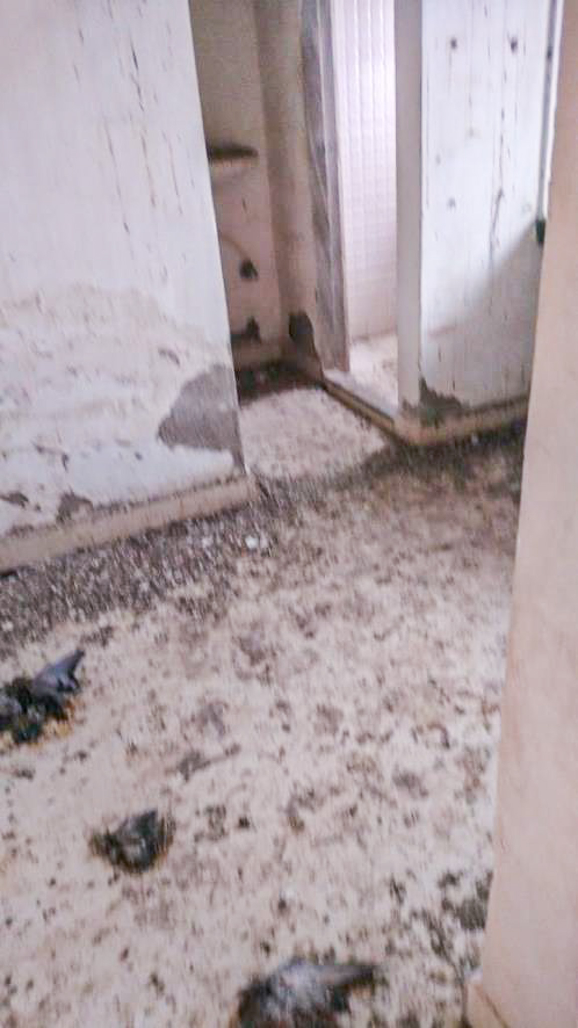 208 square feet Flat for sale in VIRAR EAST PALGHAR Vasai Virar — photo 8
