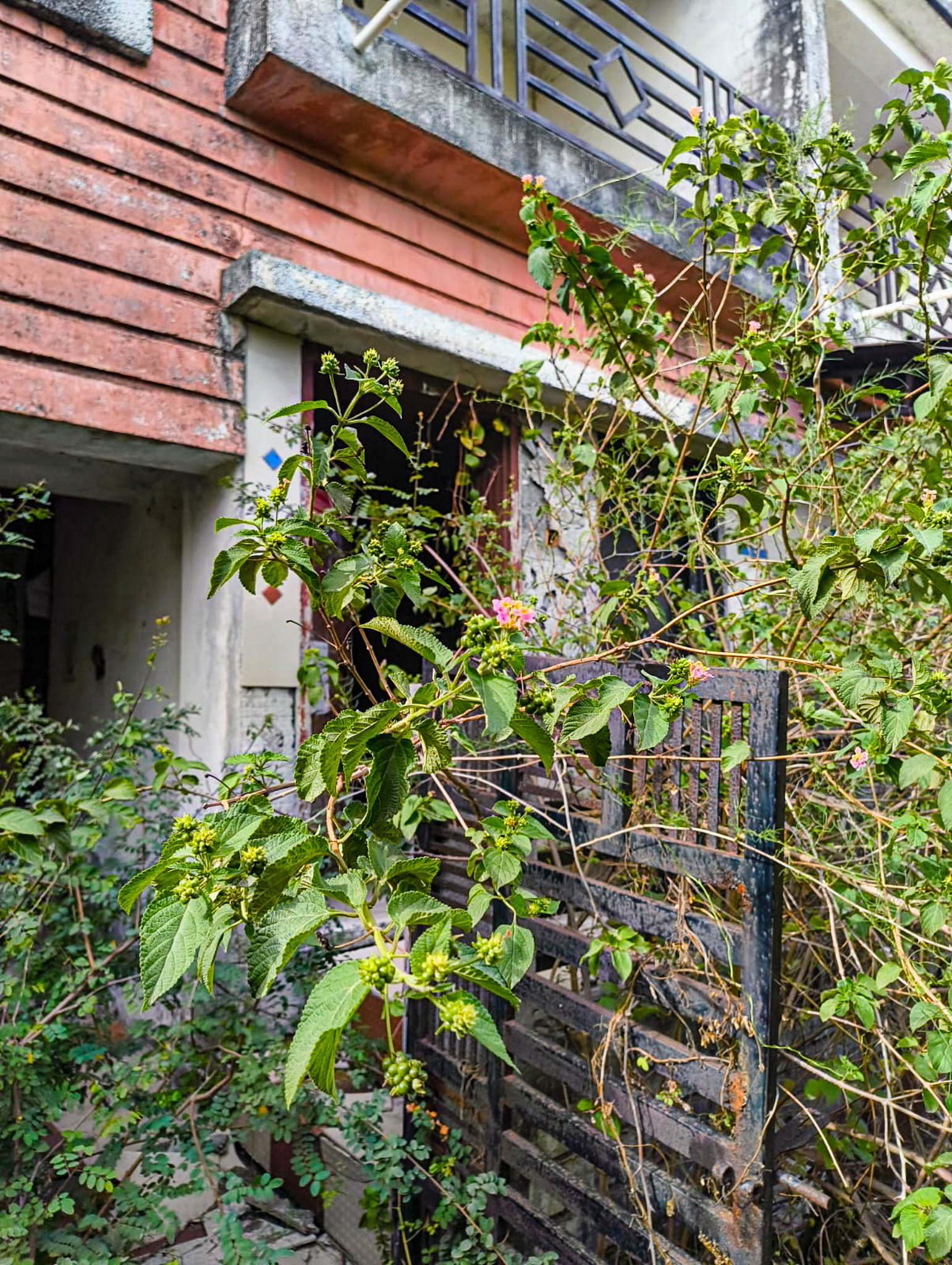 Individual House for sale in olpad, surat Surat — photo 8