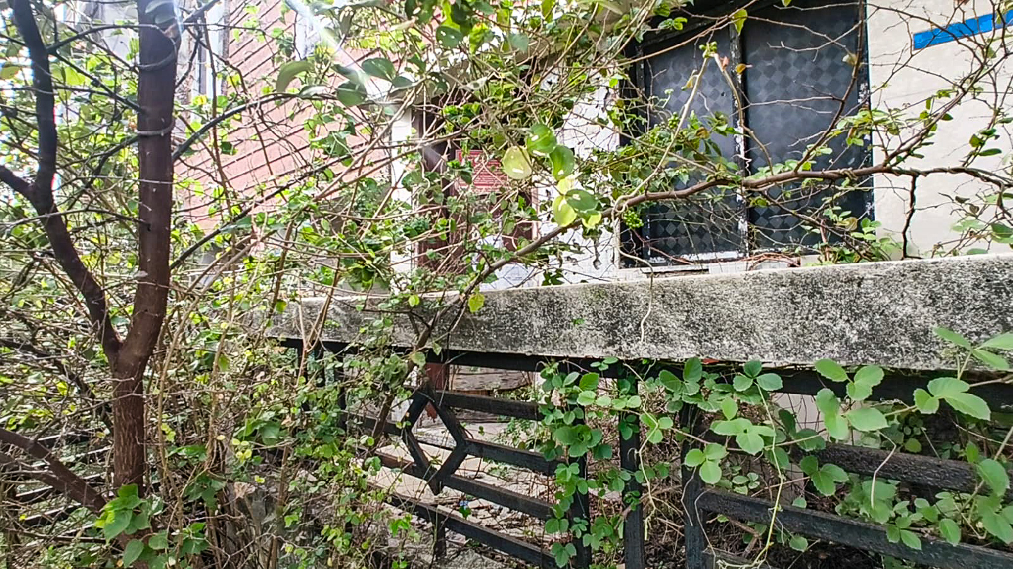 Individual House for sale in olpad, surat Surat — photo 6