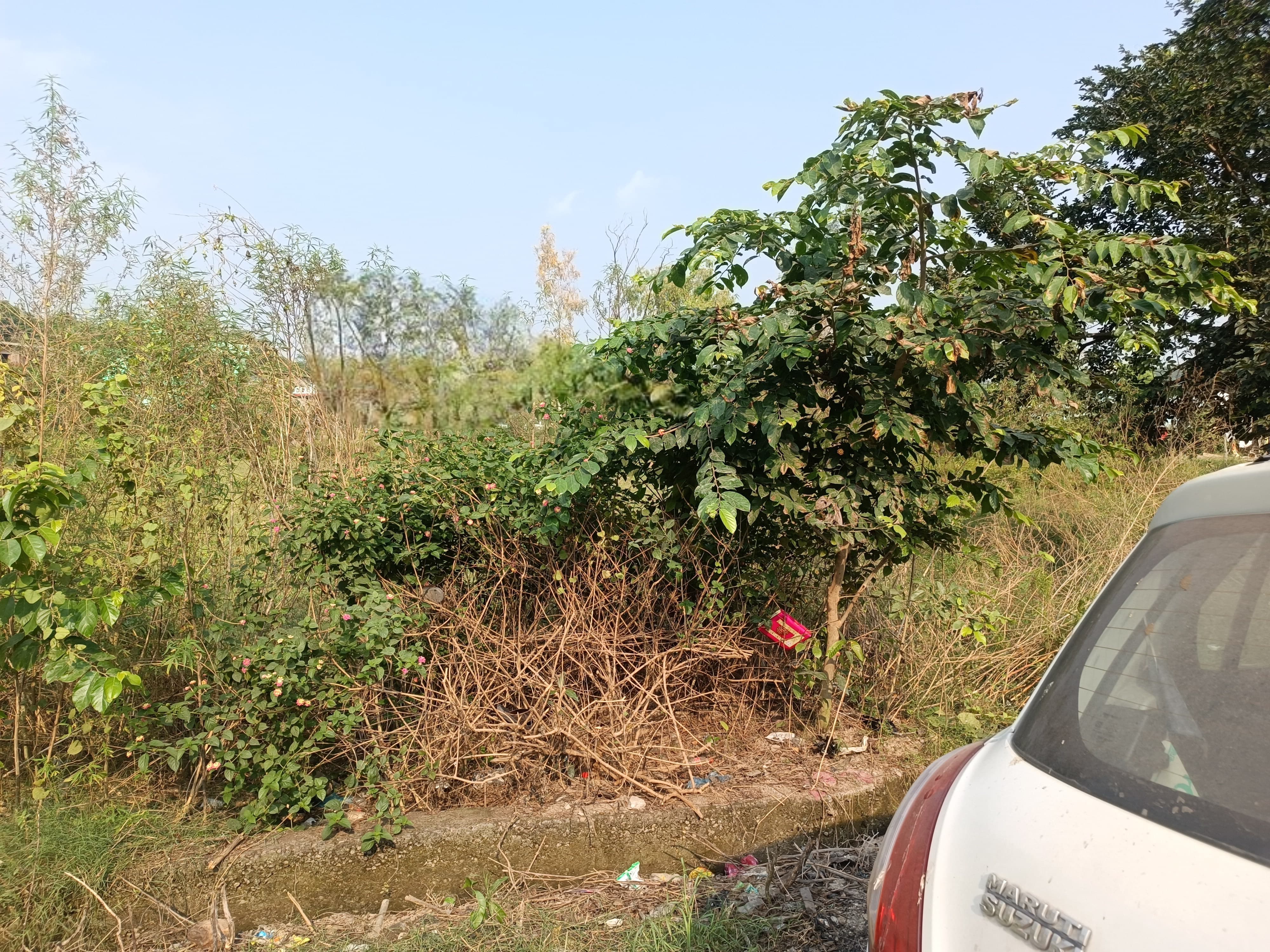 Vacant Plot for sale in Mohal, Surajpur Bhuntar — photo 2