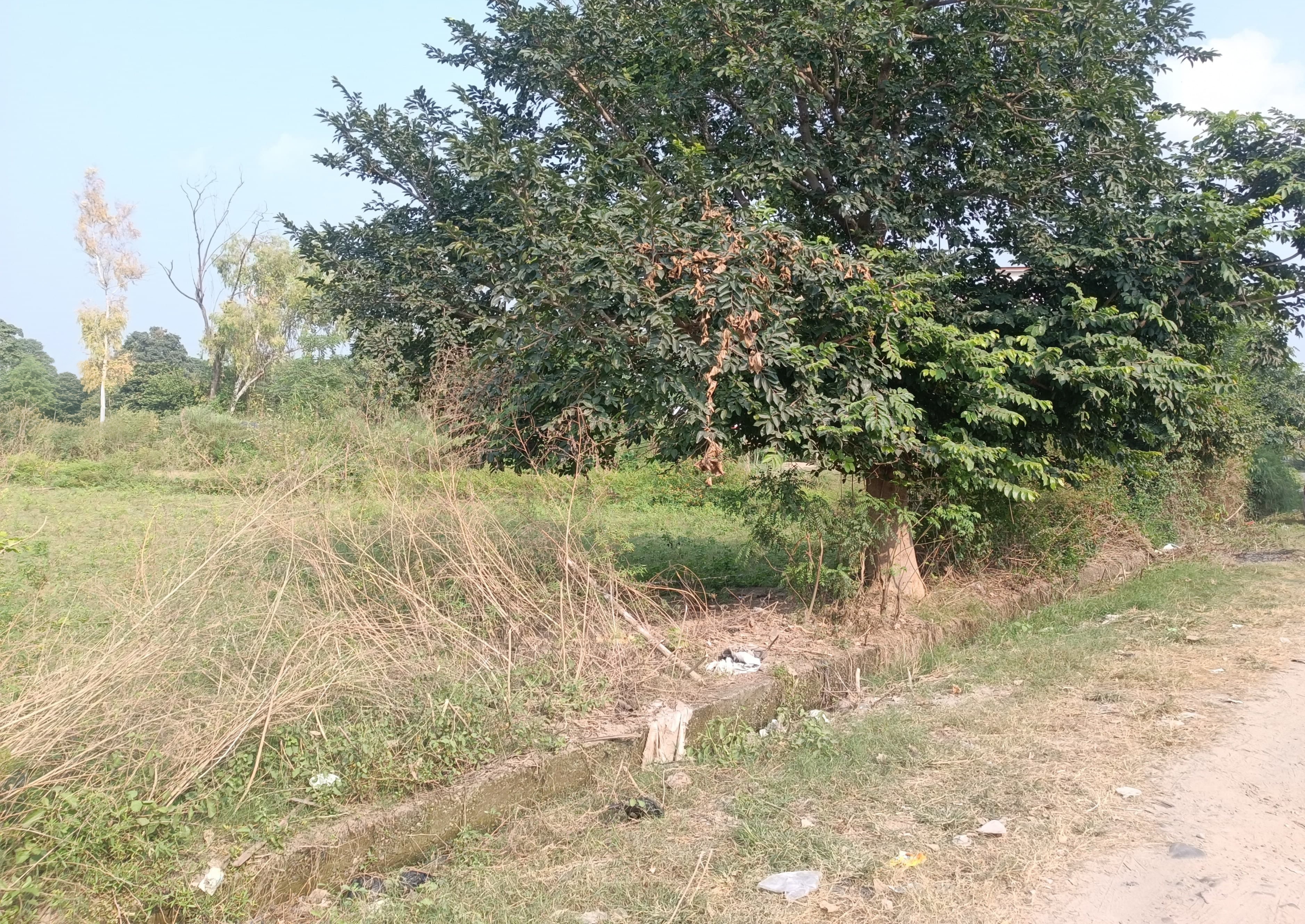 Vacant Plot for sale in Mohal, Surajpur Bhuntar — photo 1