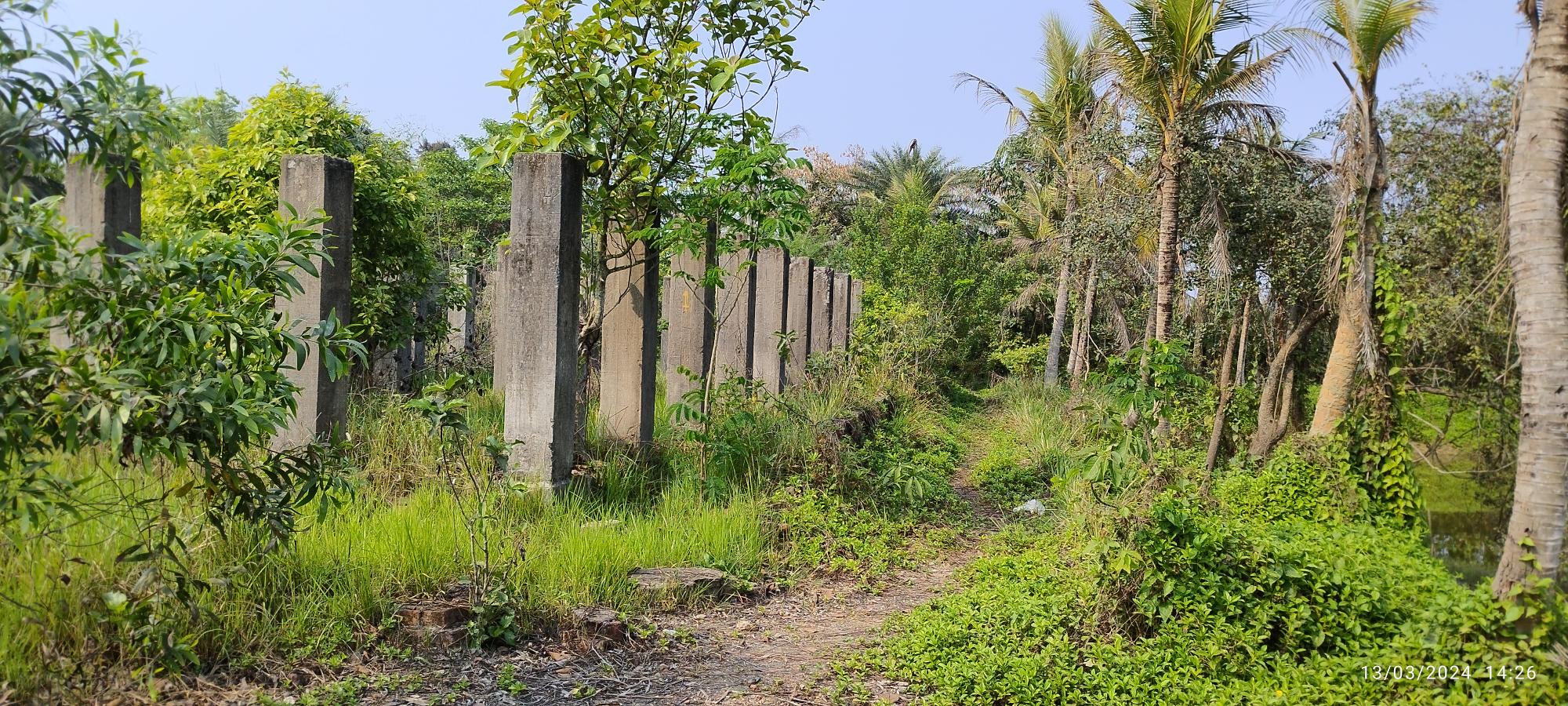 Industrial Plot with Factory Building for sale in Vill –Banganagar, Hasimnagar ,Diamond Harbour Road Ajodhyanagar — photo 5