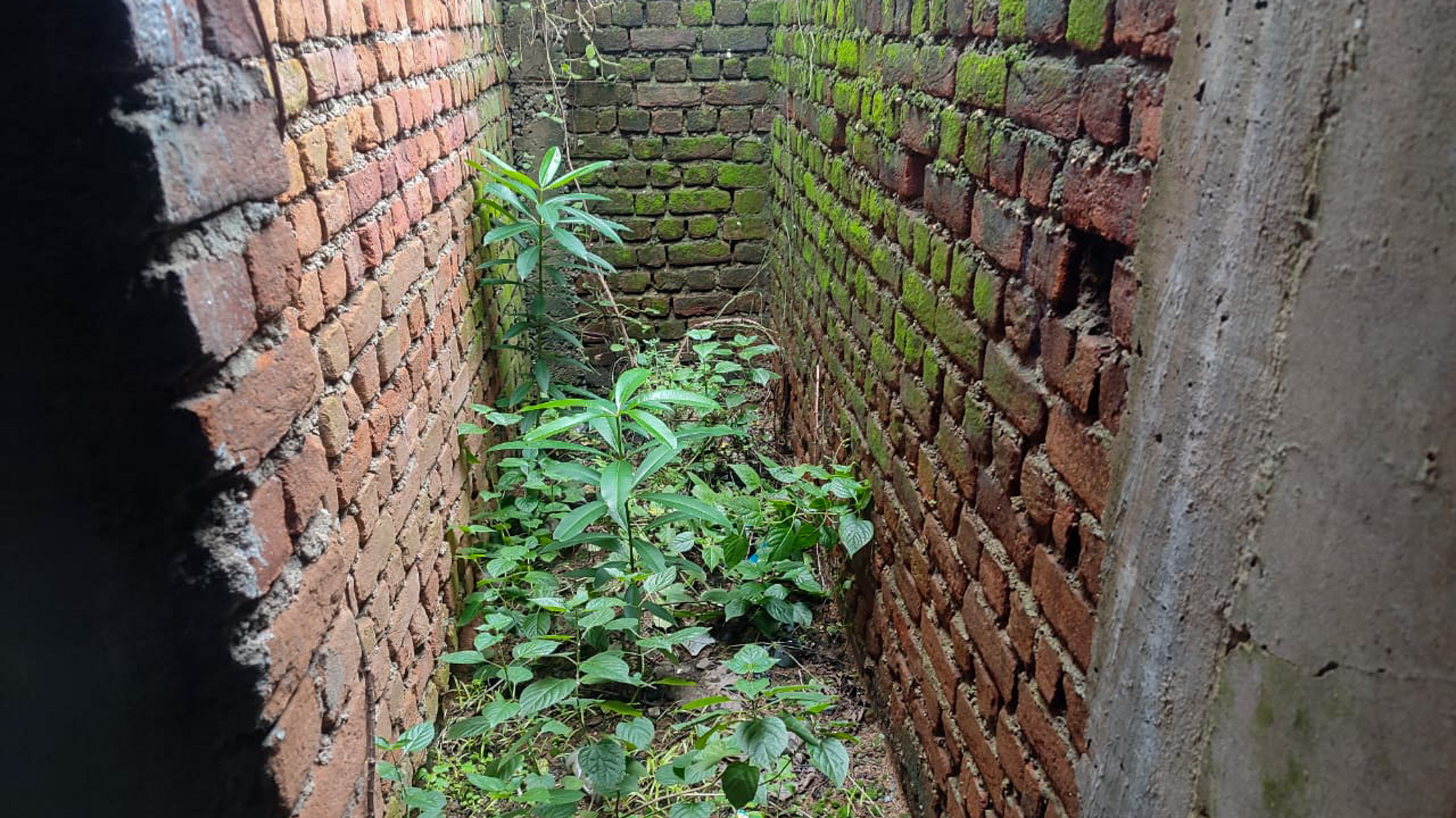 1034 square feet Individual House for sale in MOPKA Bilaspur — photo 6