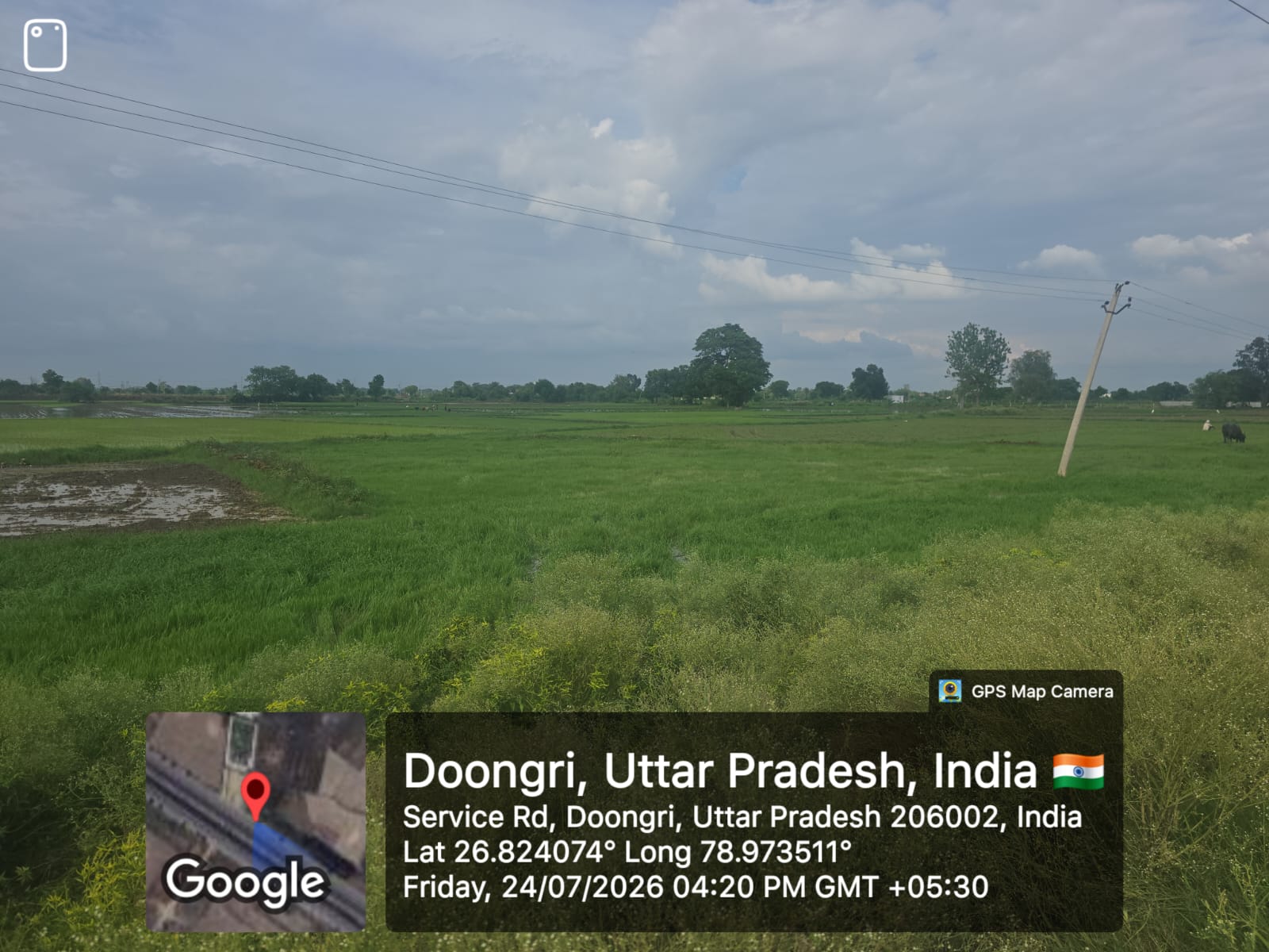 Plot for sale in Mouza Vicharpur, Tehsil & Distt. Etawah Etawah