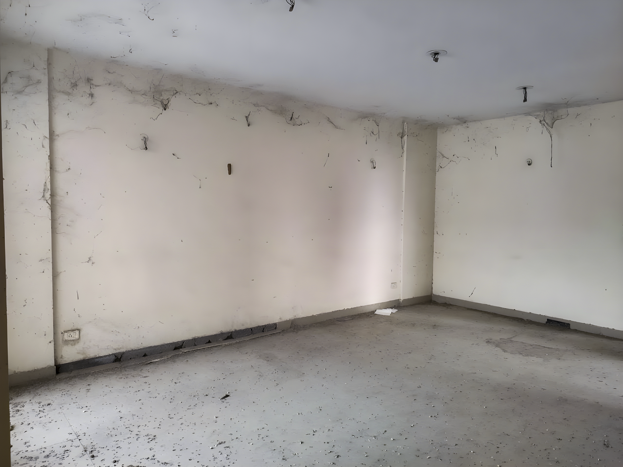 2 BHK Flat for sale in Mulberry County, Faridabad Faridabad — photo 7