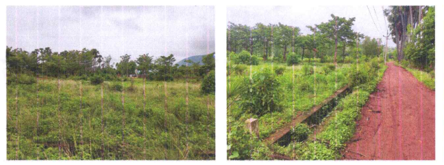267 square yard Plot for sale in Jarjapupeta — photo 1