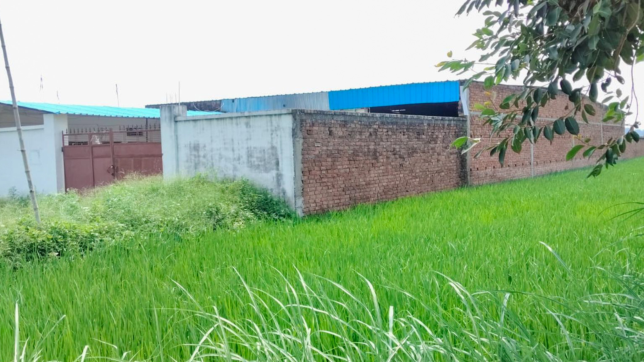 10336 square feet Individual House for sale in Varanasi Agro Park Karkhiyon — photo 10