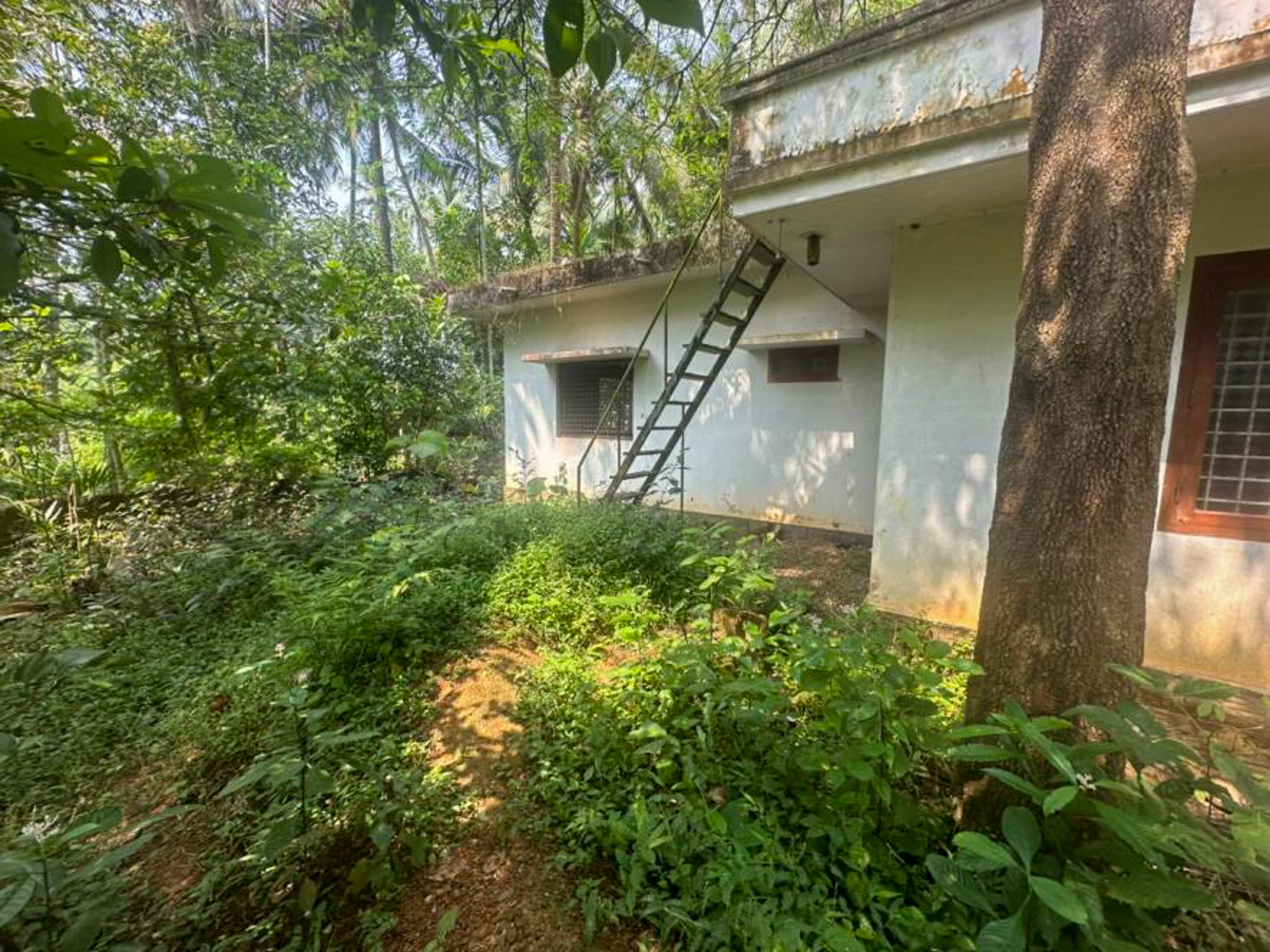 Individual House for sale in Kozhikode — photo 17