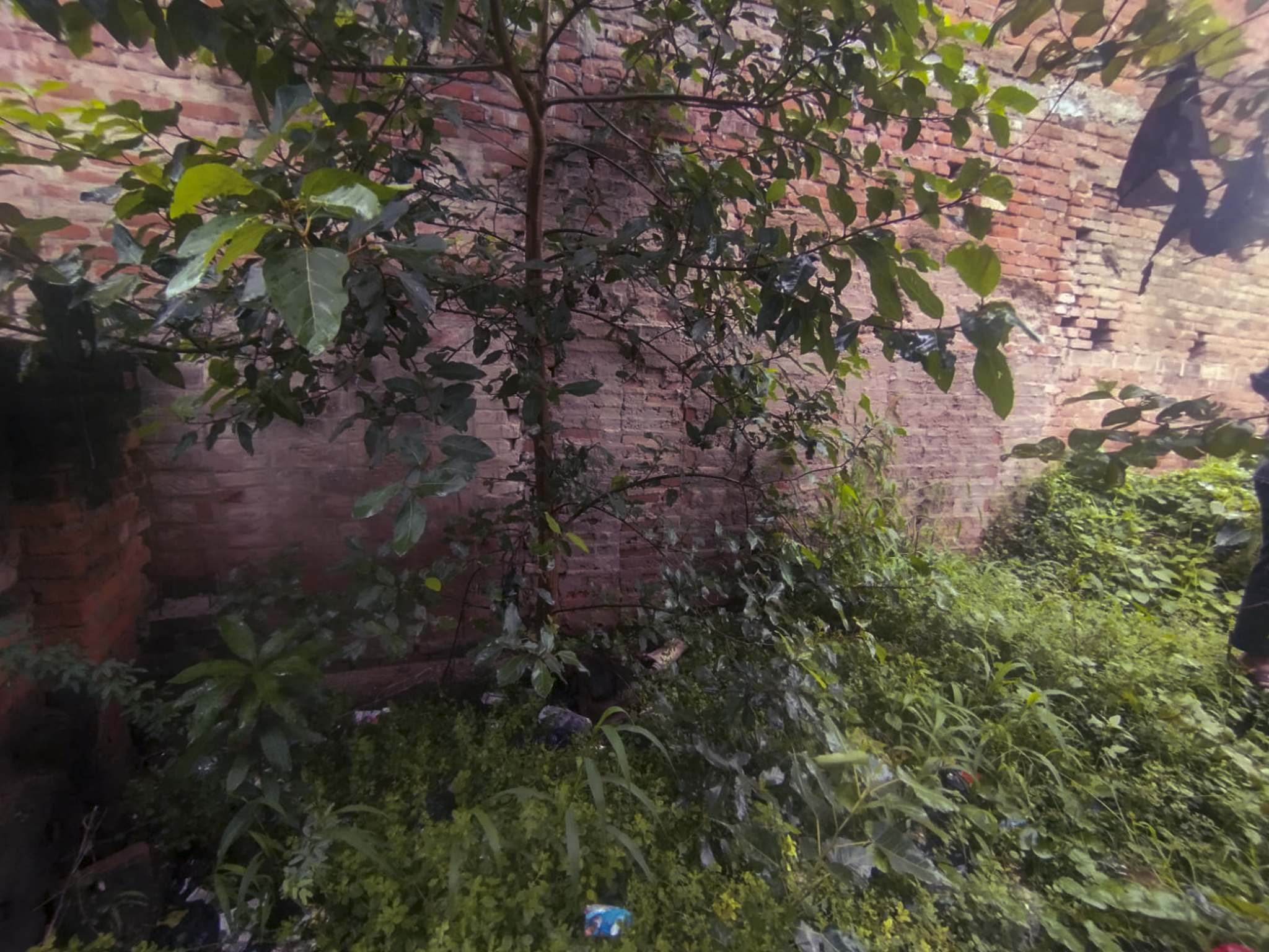Individual House for sale in Urban Banda — photo 2