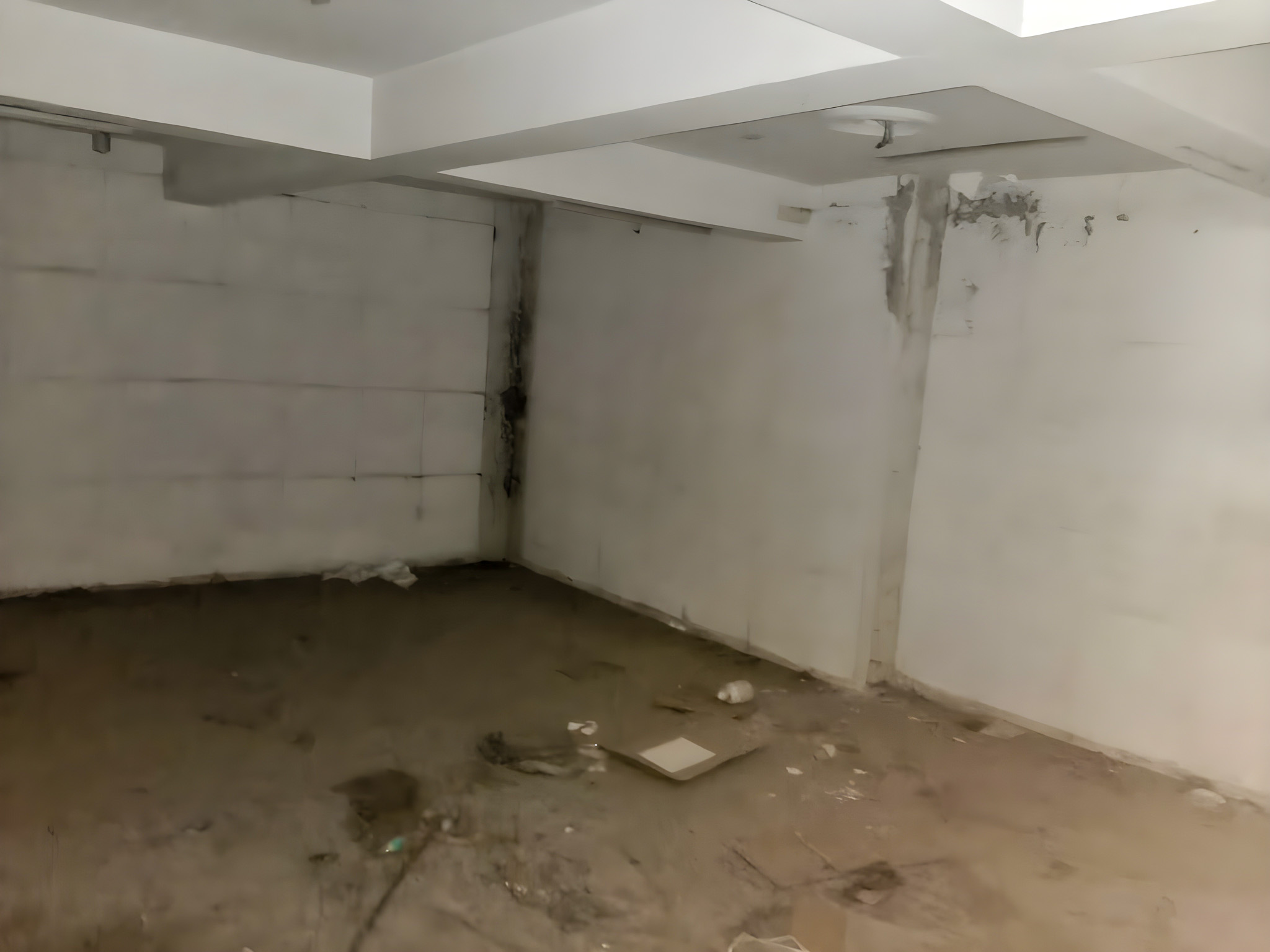 221 square yard Shops for sale in Panipat — photo 13
